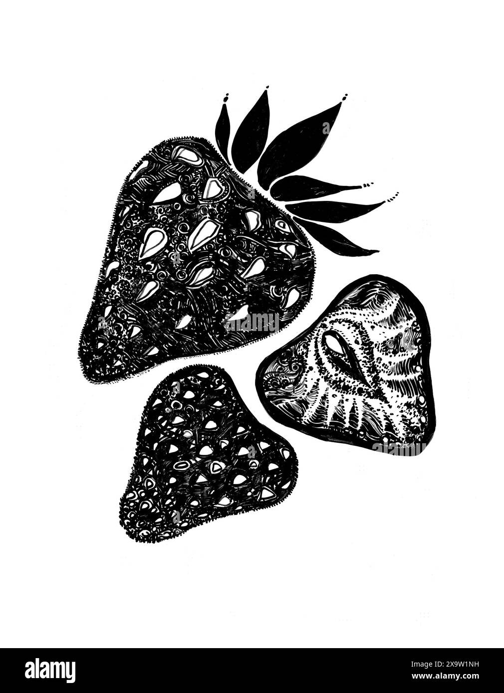 Set black leaves various Black and White Stock Photos & Images - Alamy