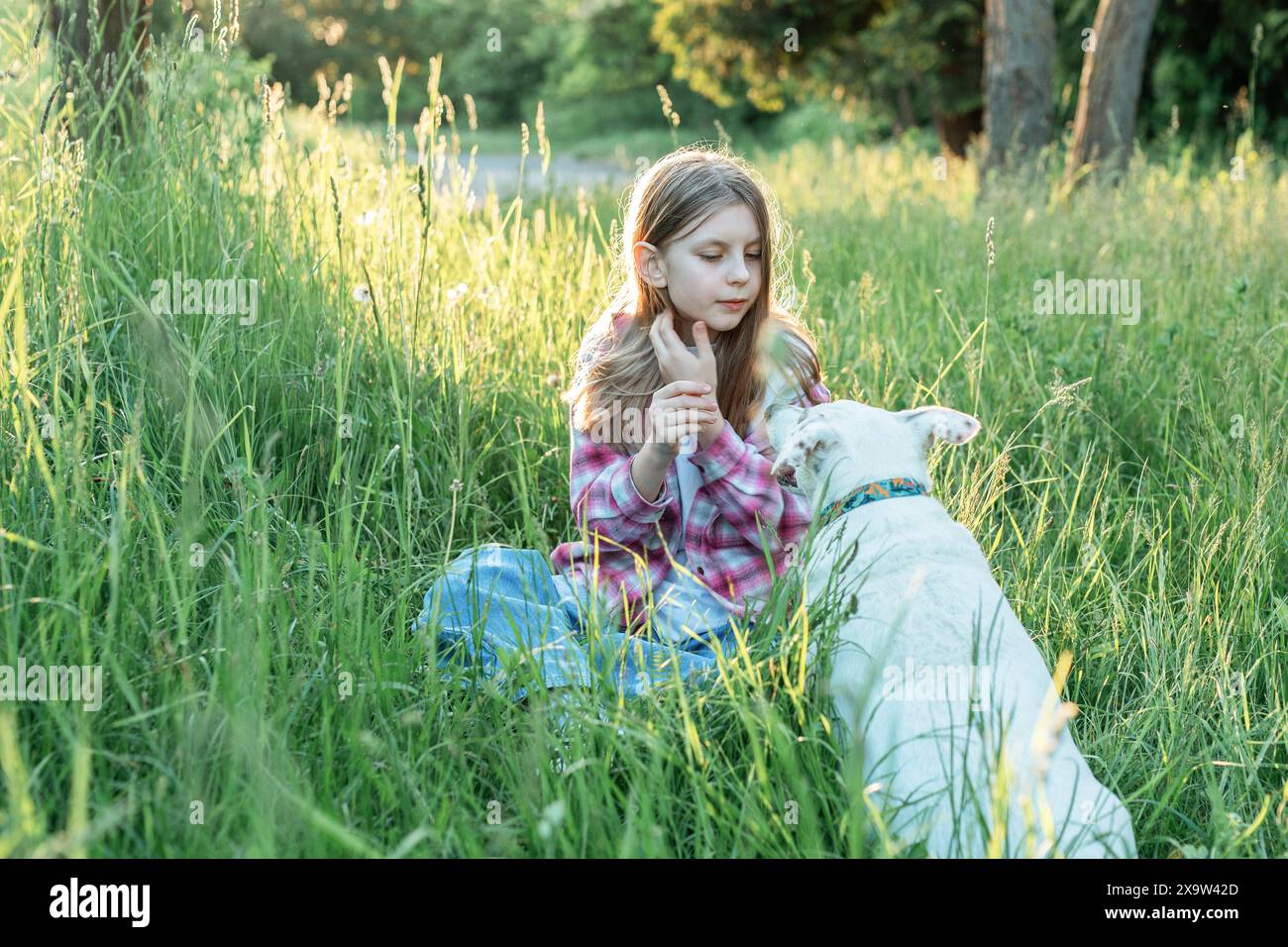 A child with a dog in nature, girl playing with a dog on green grass ...