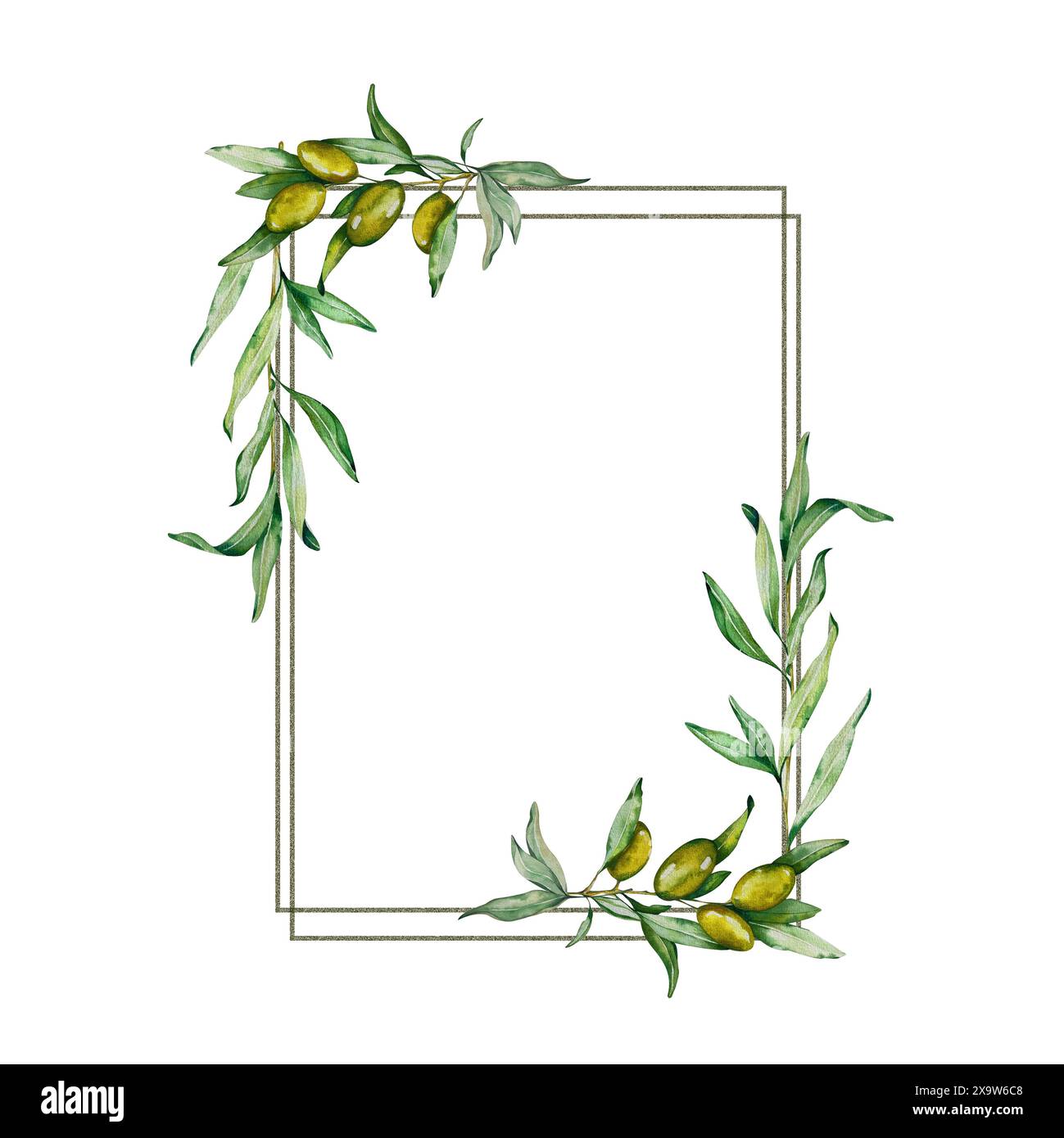 Square Frame. Watercolor Green Olive Twigs with Fruits, Leaves. For ...