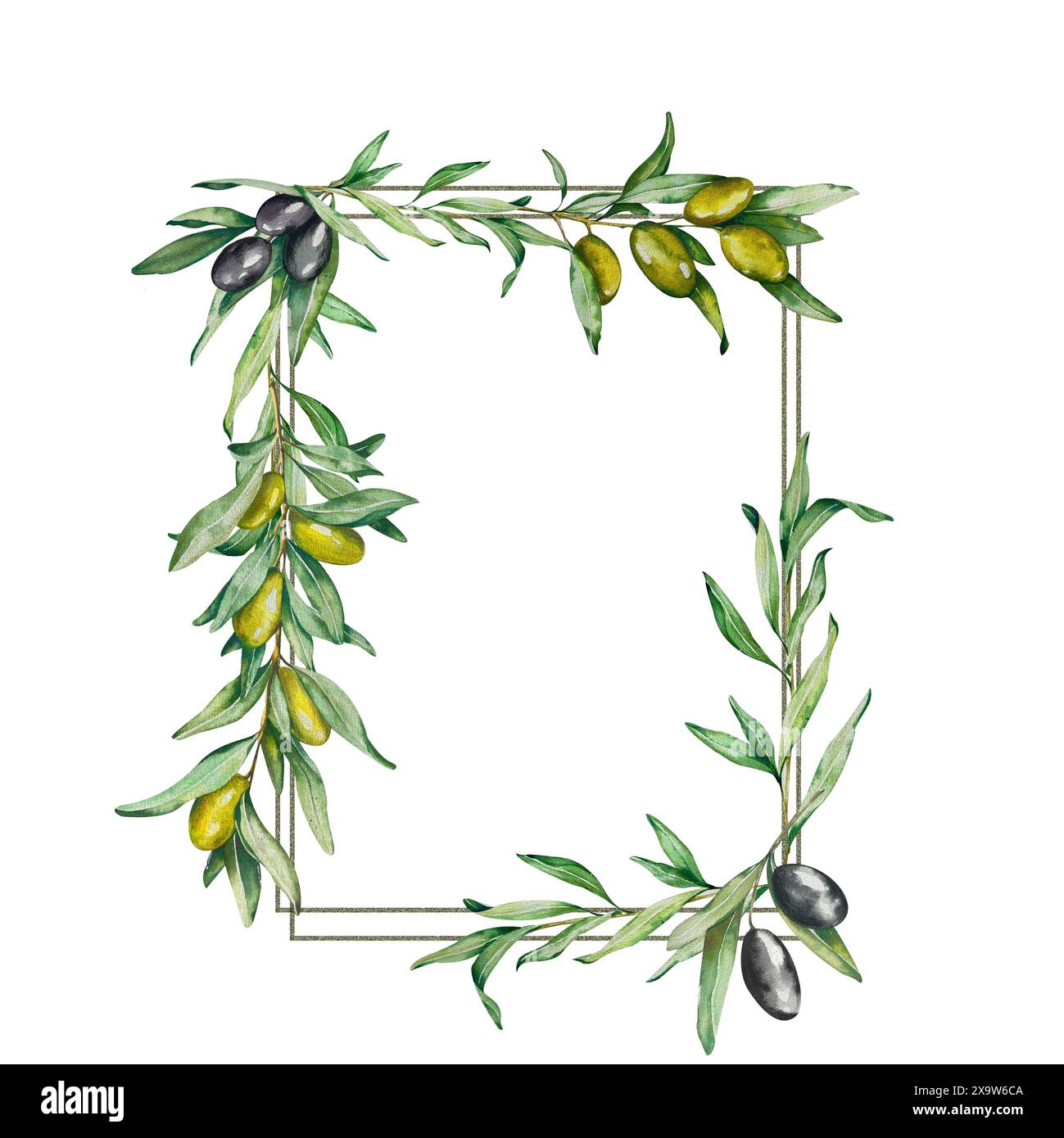 Square Frame. Watercolor Twigs with Fruits, Leaves. Black and Green ...