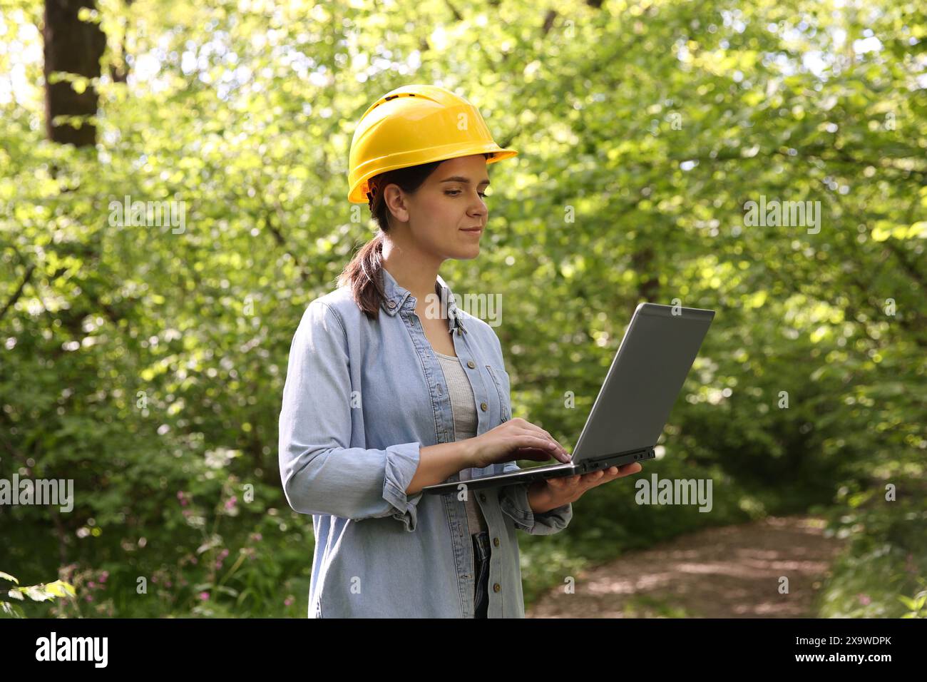 Forester in hard hat with laptop working in forest Stock Photo