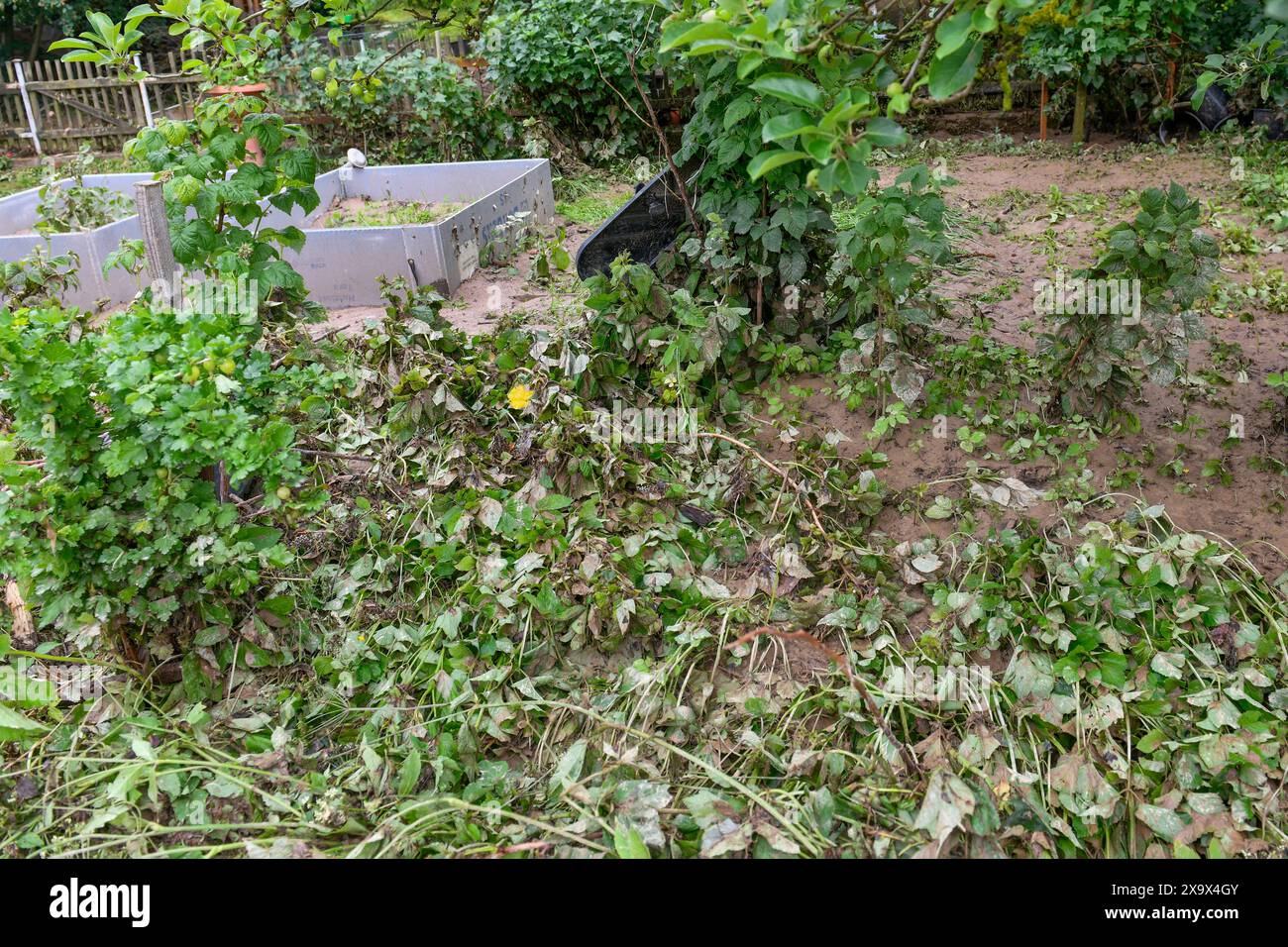 Stenovice, Czech Republic. 03rd June, 2024. Heavy rains raised the level of the Uhlava in Stenovice, Pilsen region, Czech Republic, June 3, 2024. Credit: Miroslav Chaloupka/CTK Photo/Alamy Live News Stock Photo