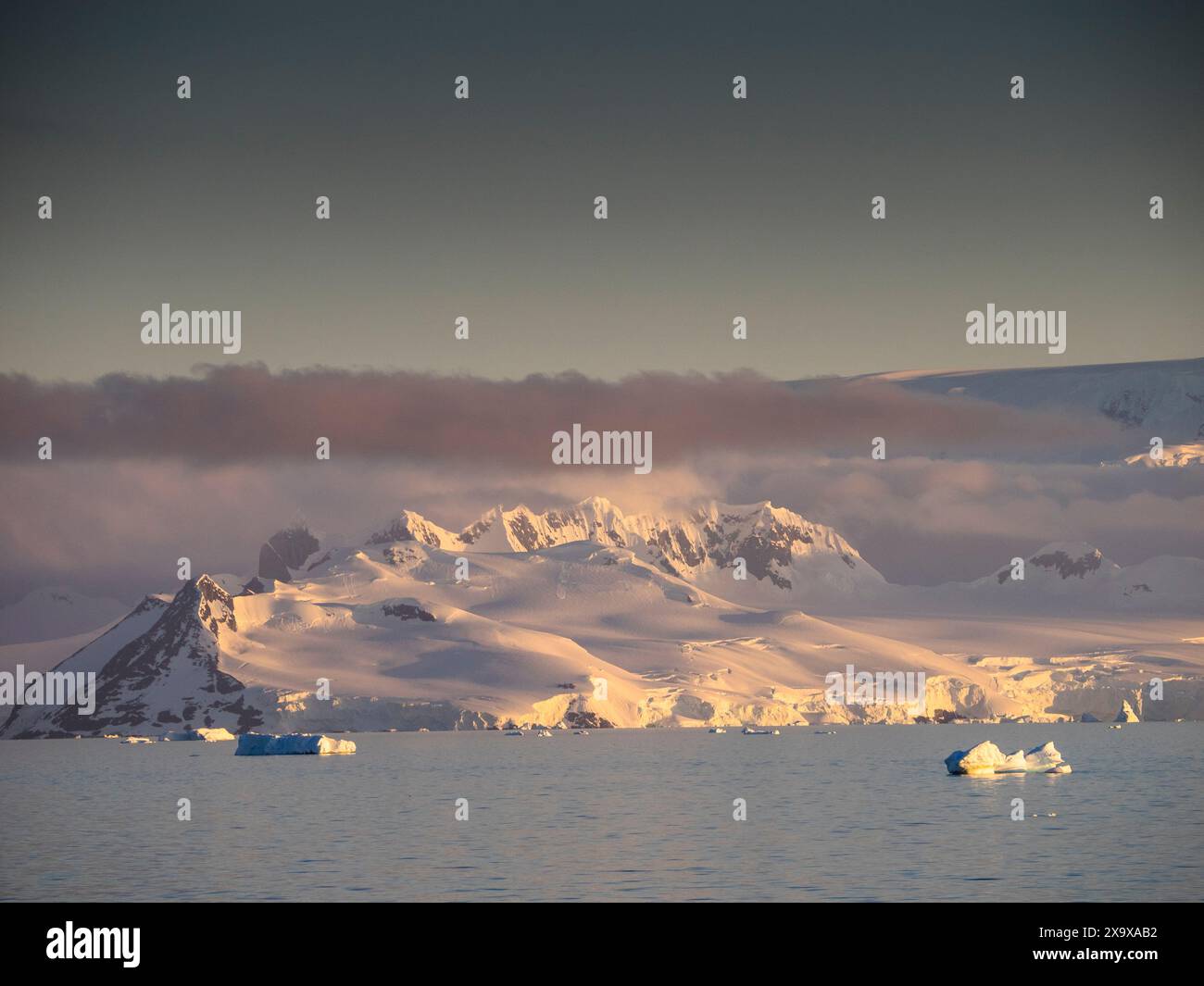 icebergs in the Gerlache Strait off Brabant Island in the pink glow of ...
