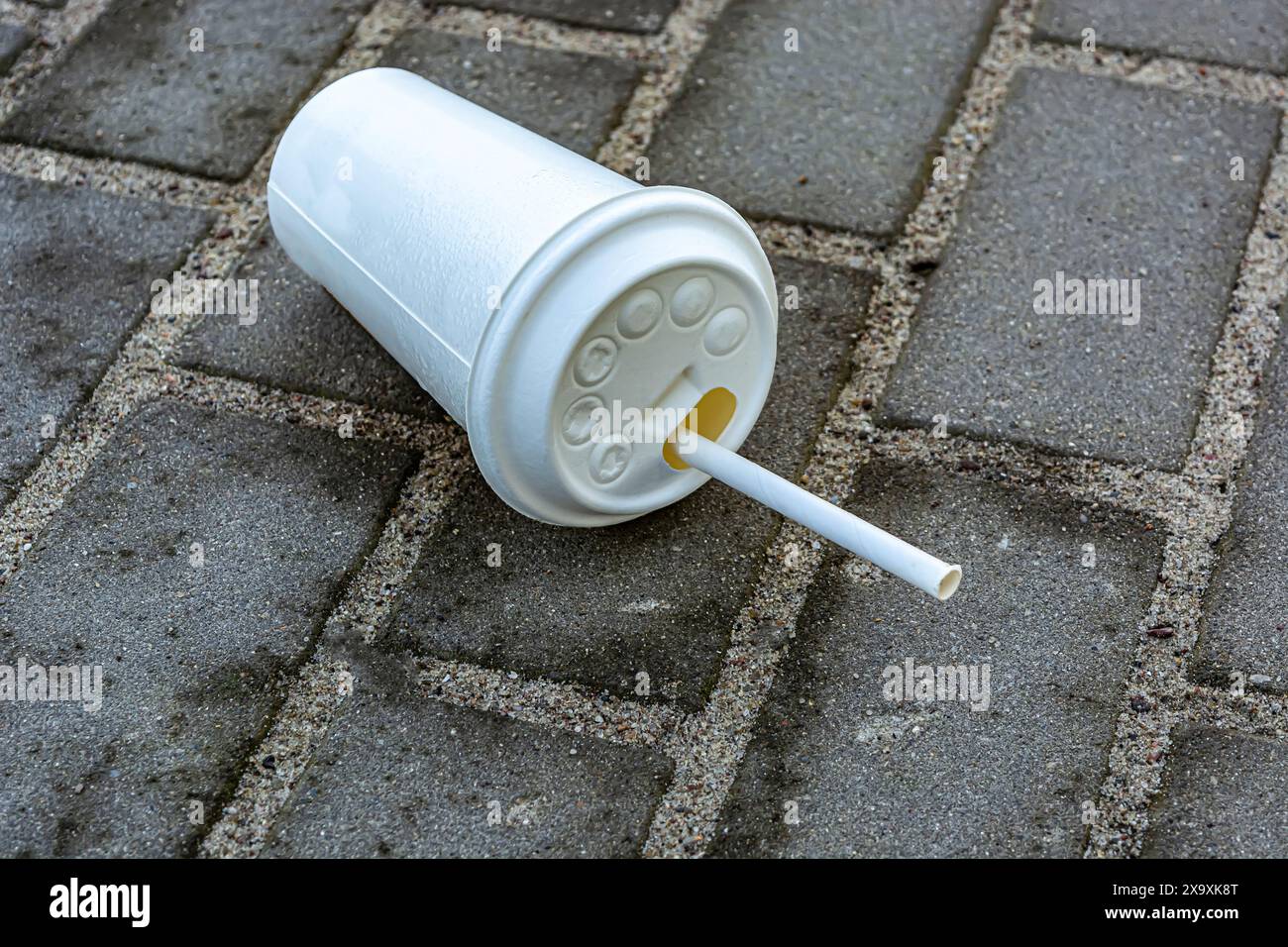 One white discarded paper cup is lying on the ground Stock Photo - Alamy