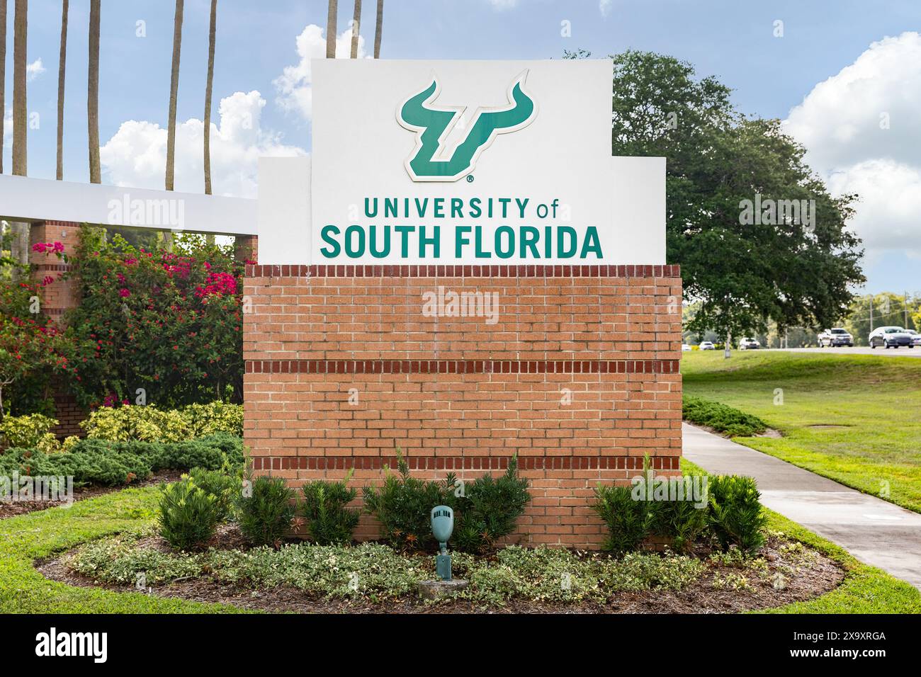 The University of South Florida is a public research university with