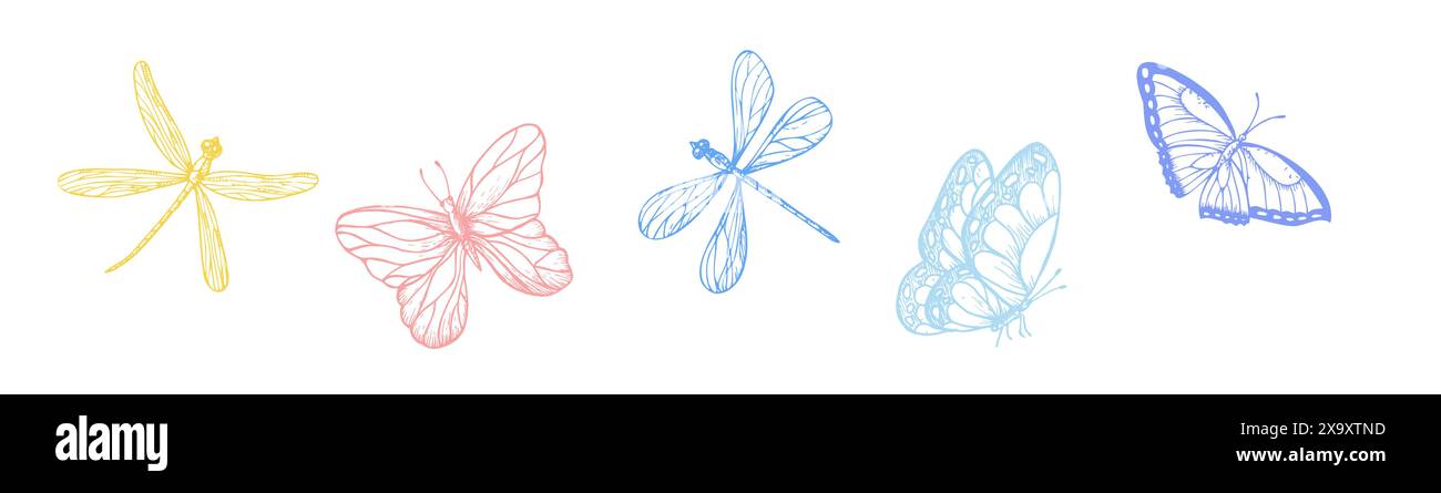 Vector set of butterflies and dragonflies. Hand painted linear insects. Graphic clipart isolated on background. Botanical and wedding illustration. Fo Stock Vector