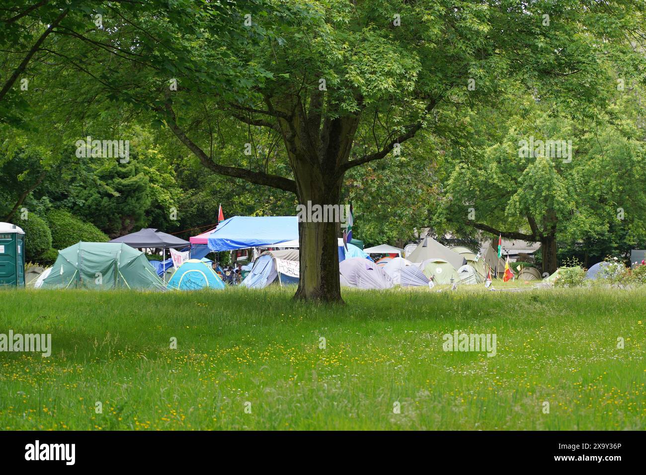 Cardiff University pro-palestine peace encampment Stock Photo - Alamy