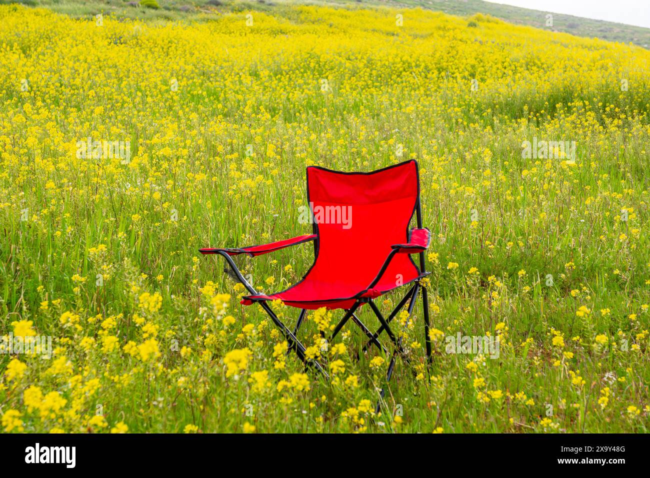 A vibrant red camping chair sits in the middle of a lush green field ...