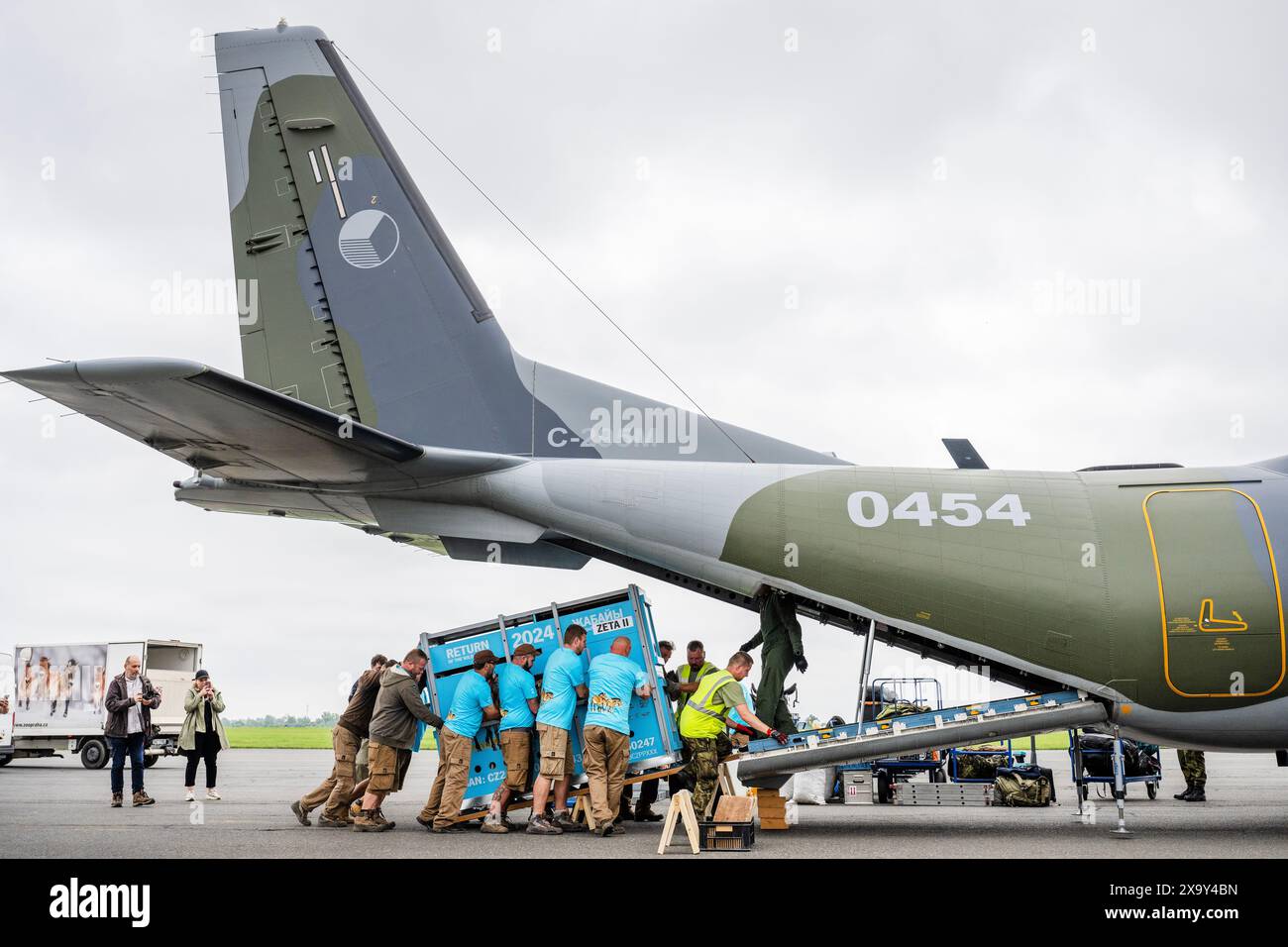 ***CAPTION CORRECTION*** Prague Zoo staff loading three of the originally planned four Przewalski's horses to be flown to Kazakhstan to restore the wild horse population in the wild, at Prague-Kbely Airport, Czech Republic, on June 3, 2024. (CTK Photo/Michaela Rihova) Stock Photo