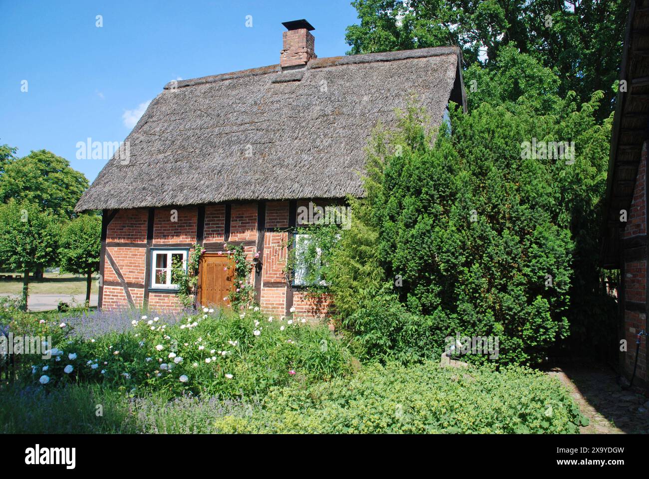 Rosen historische hires stock photography and images Alamy