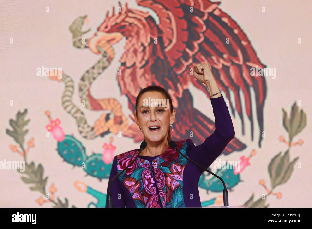 Claudia sheinbaum hi-res stock photography and images - Alamy