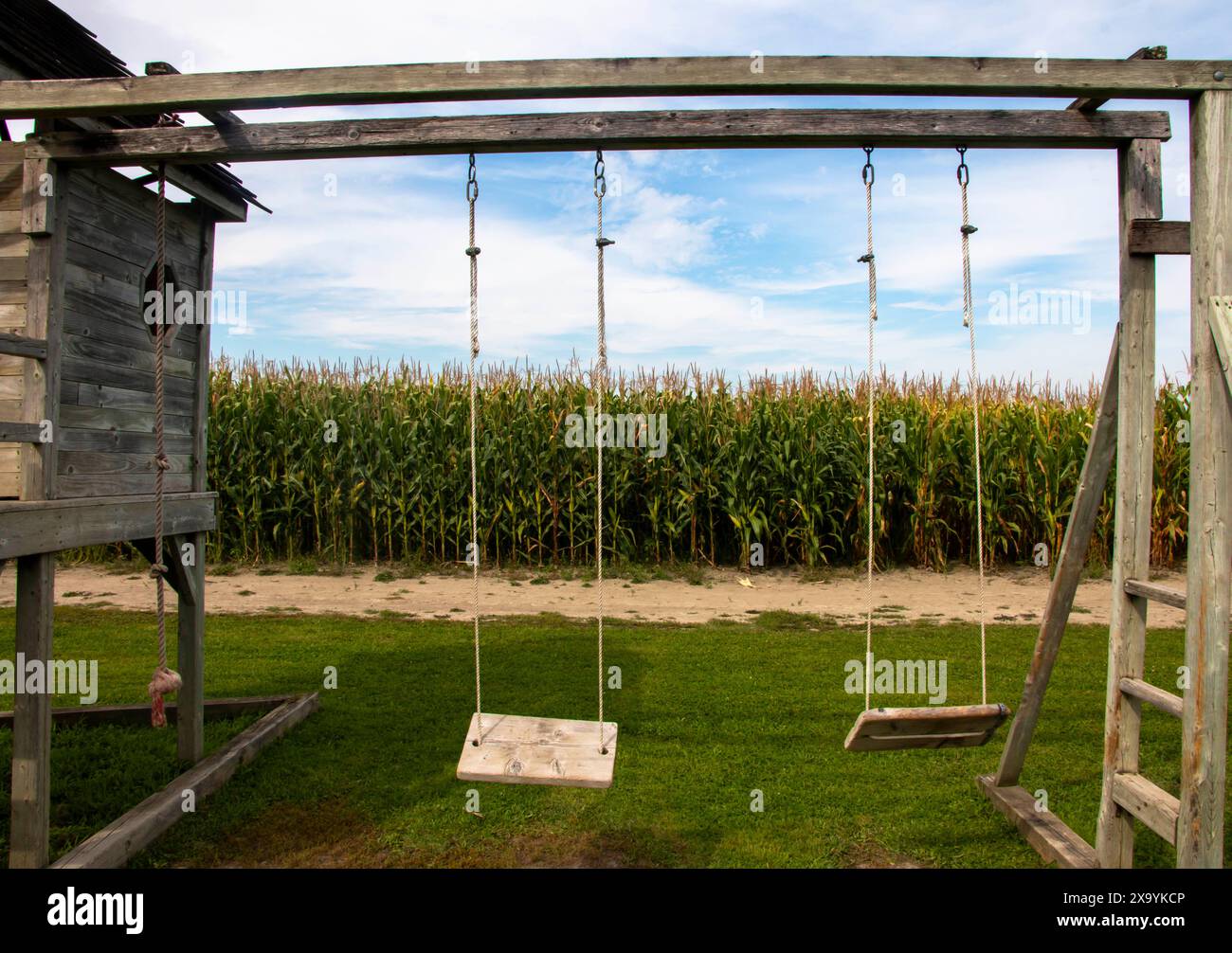 Swings on grass field near corn fields Stock Photo