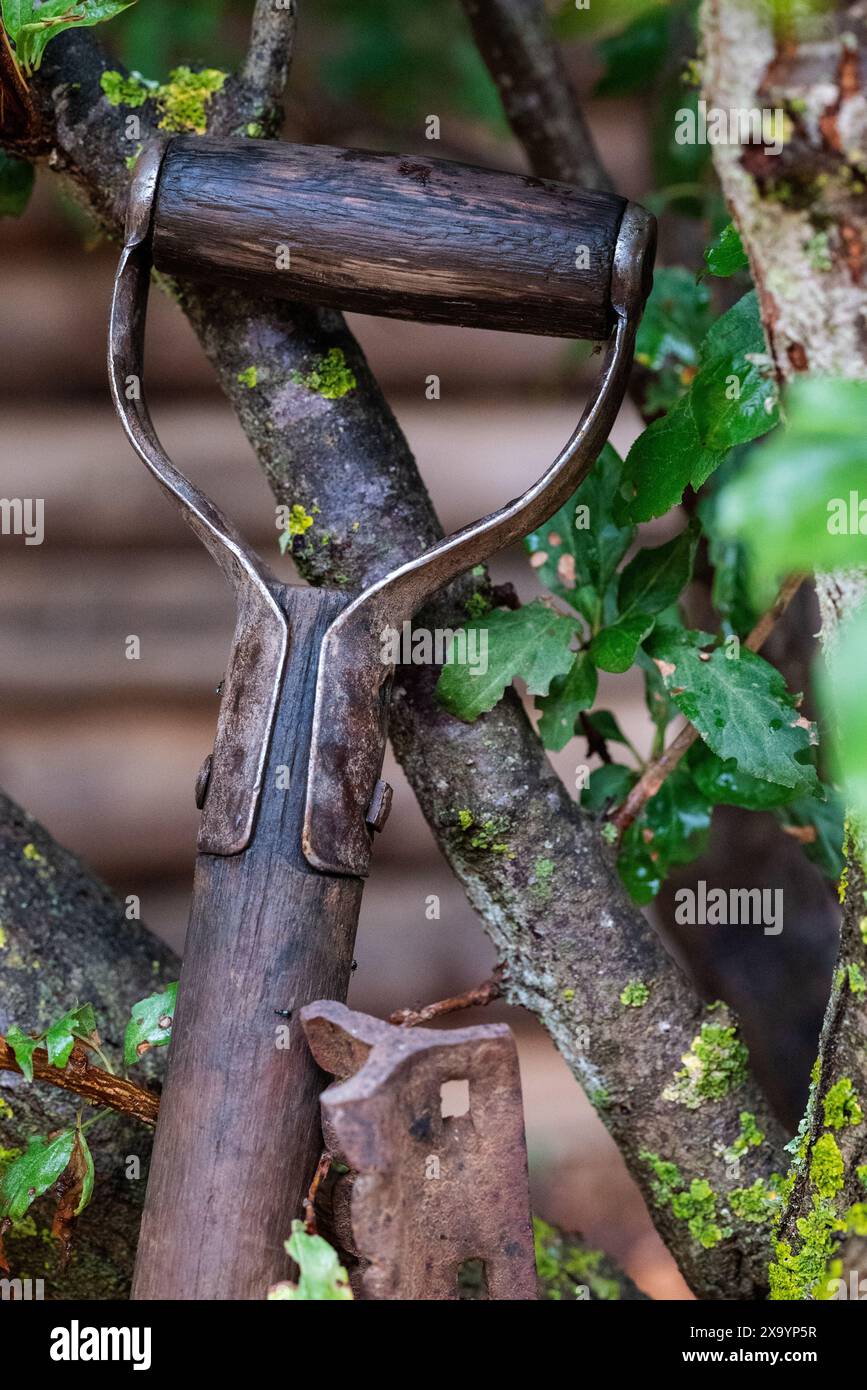 Shovel handle hi-res stock photography and images - Alamy