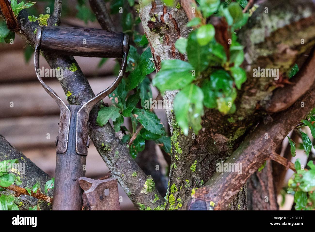 Shovel handle hi-res stock photography and images - Alamy