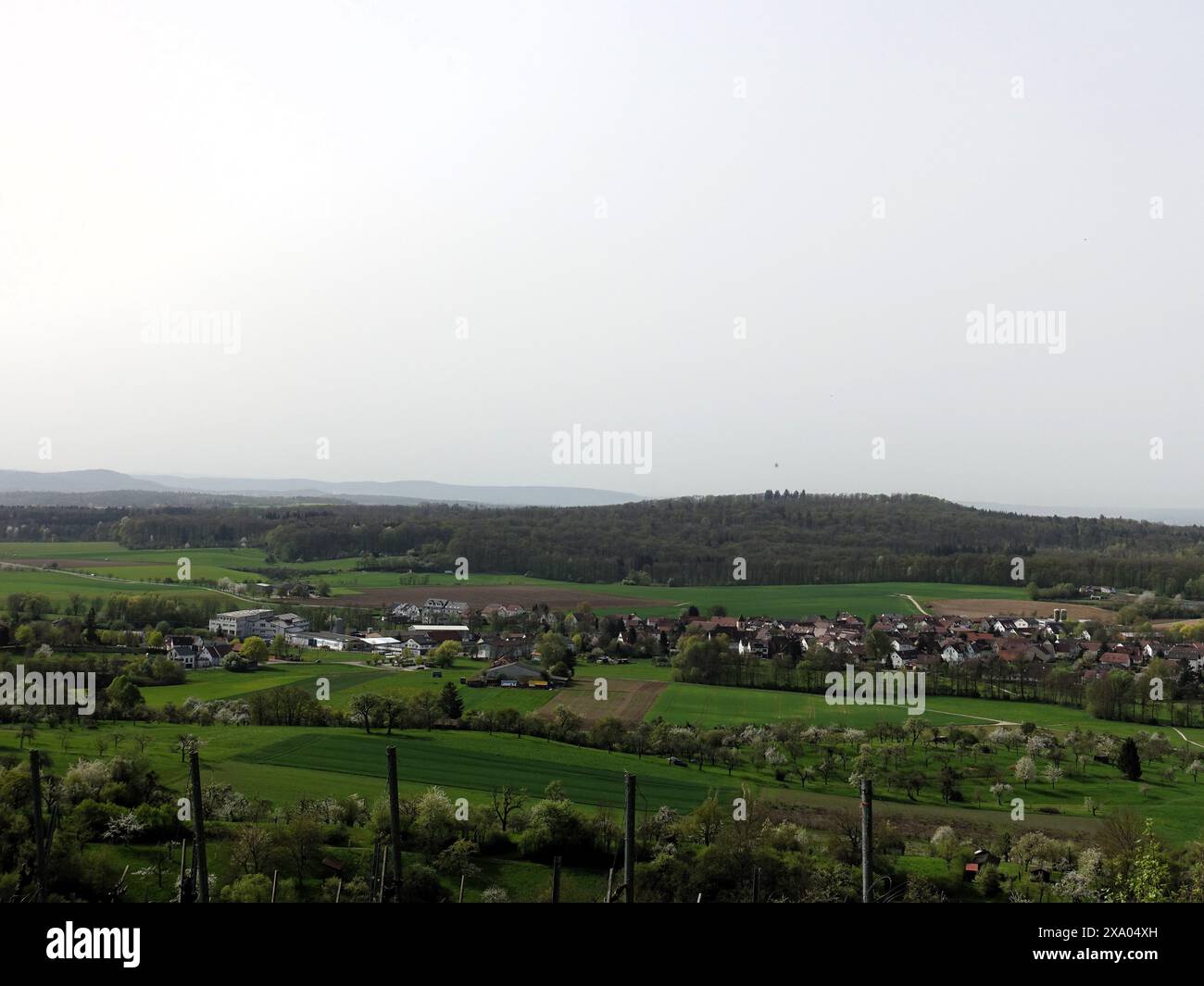 Lush green meadows trees hi-res stock photography and images - Alamy
