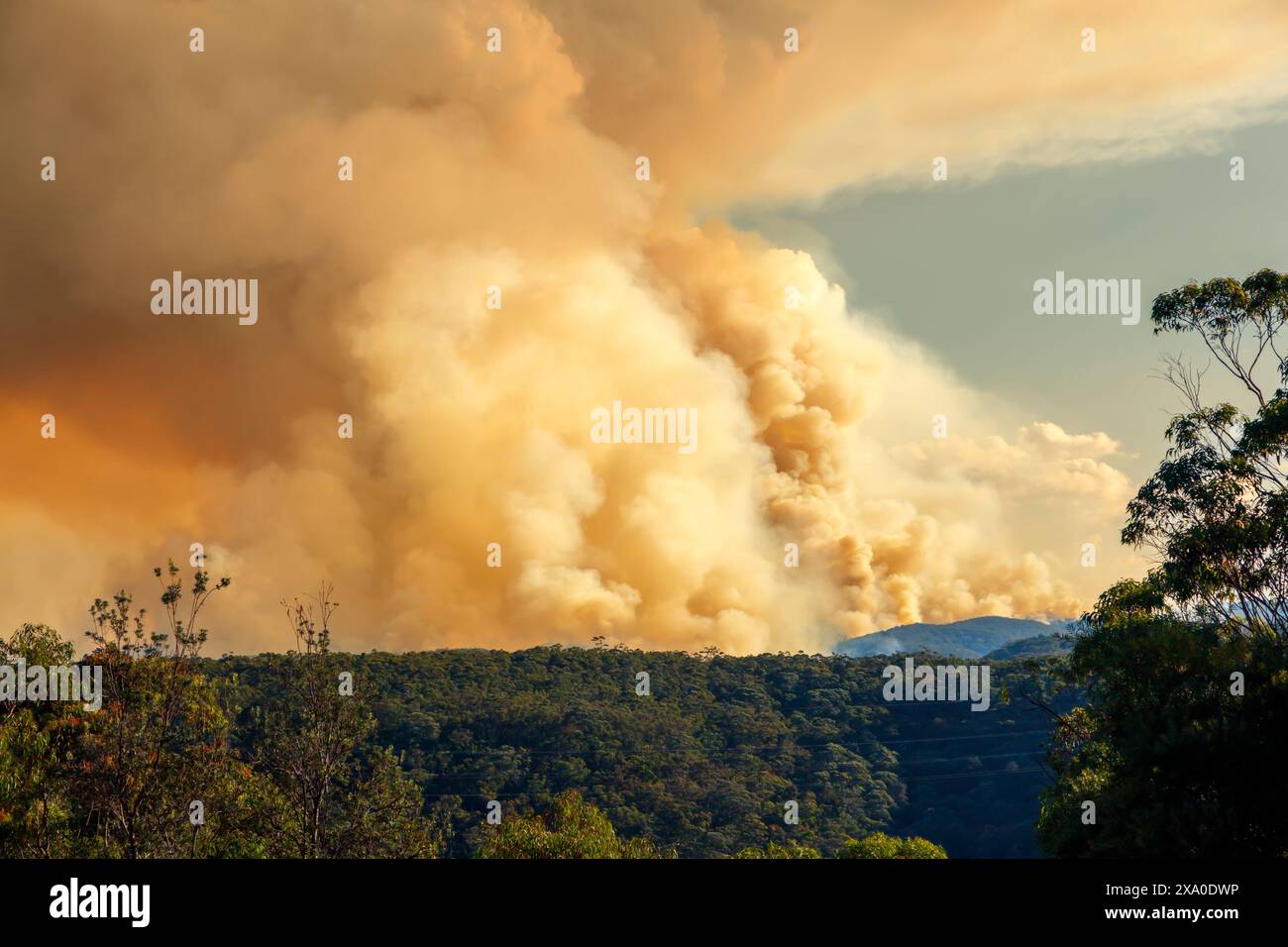 Photograph of controlled bush fire hazard reduction burning by the ...