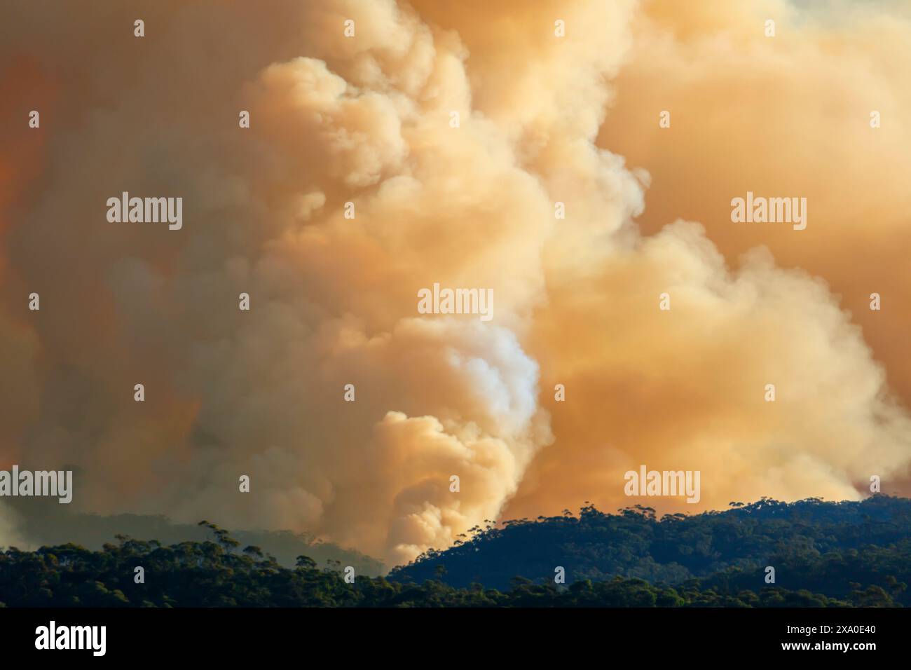 Photograph of controlled bush fire hazard reduction burning by the ...