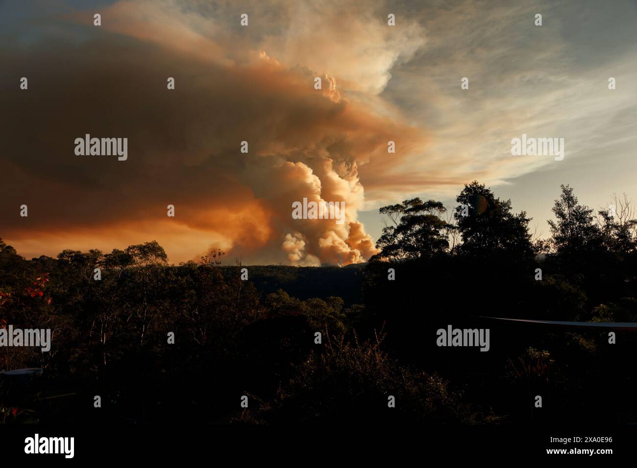 Photograph of controlled bush fire hazard reduction burning by the