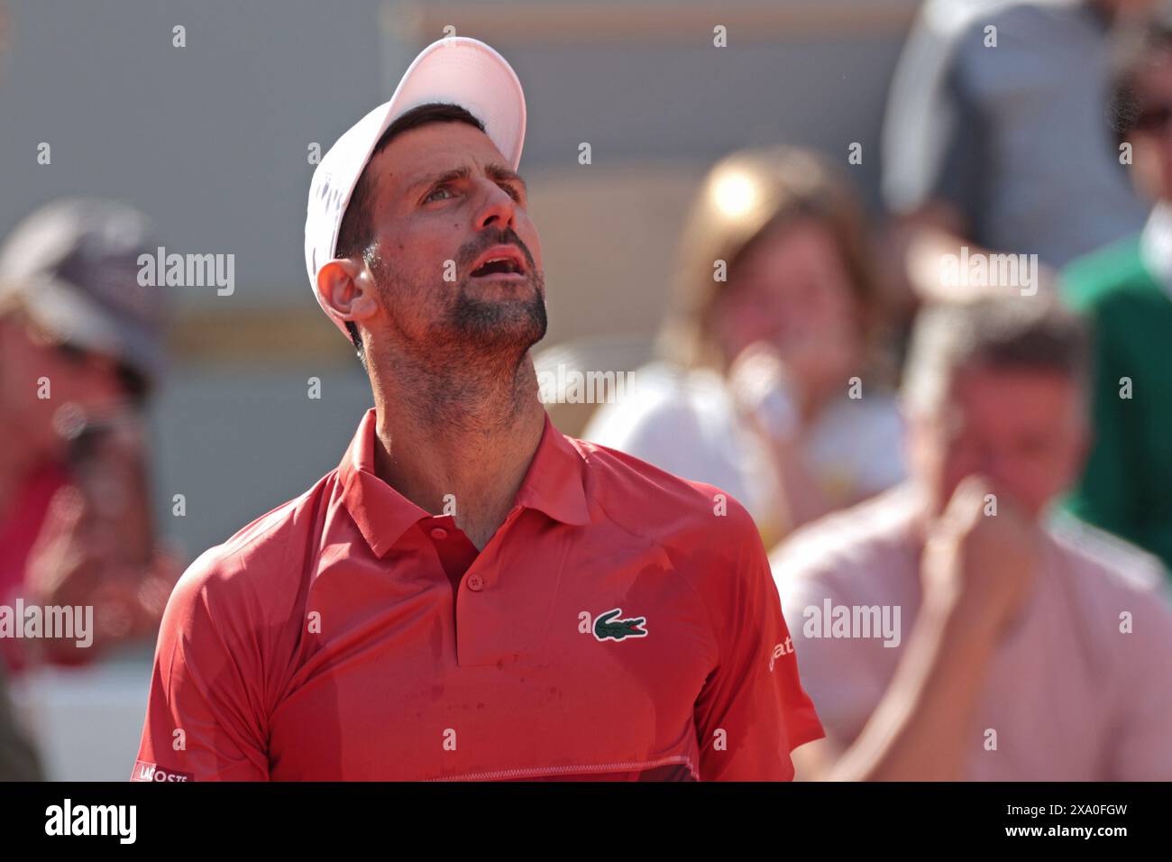 Roland Garros, Paris, France. 3rd June, 2024. 2024 French Open Tennis tournament, Day 9; Novak Djokovic looks for help from his box during his match versus Francisco Cerundolo (arg) Credit: Action Plus Sports/Alamy Live News Stock Photo