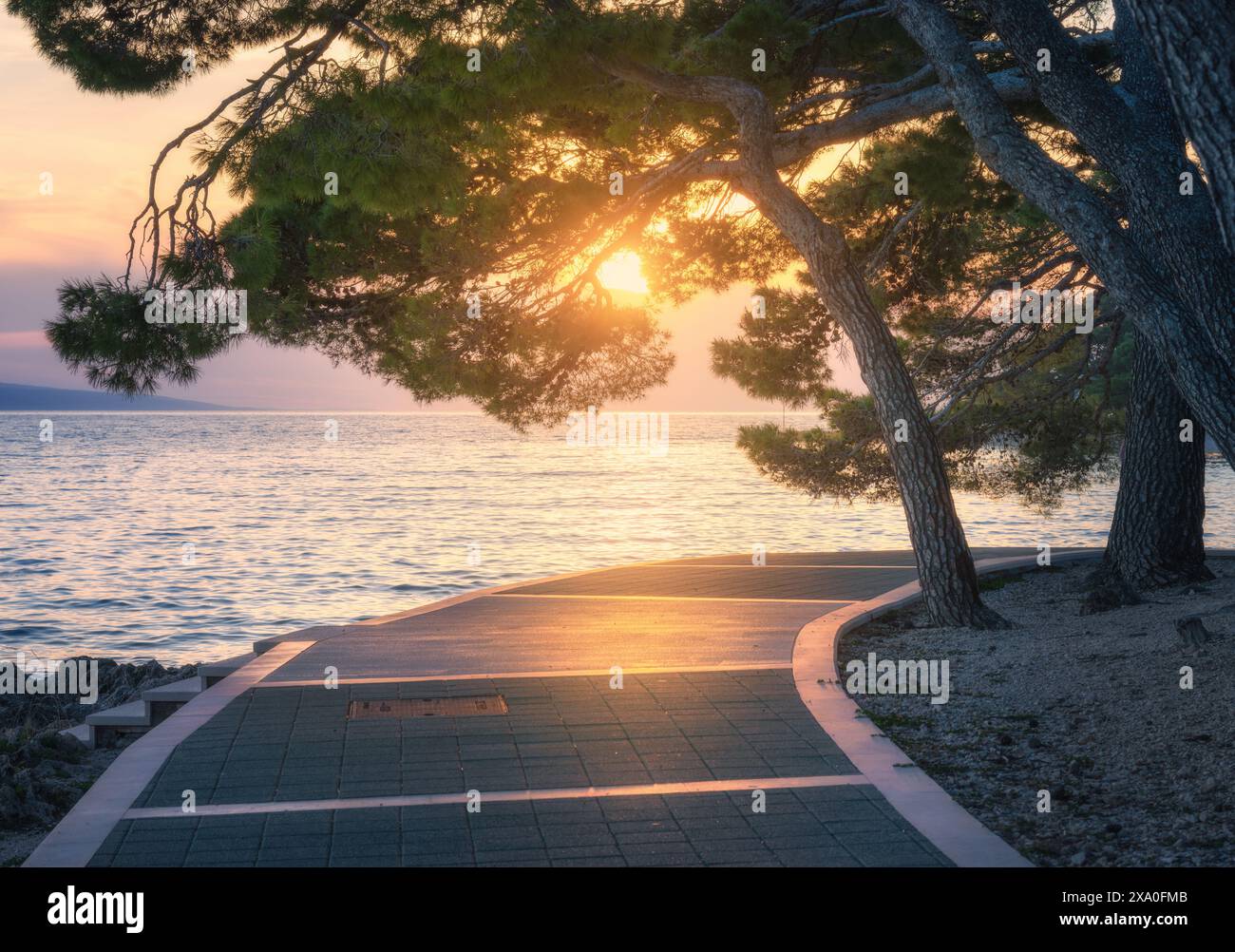 Serene coastal walkway at sunset with lush pine trees in summer Stock ...