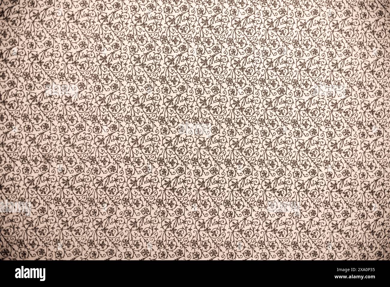 A vintage wallpaper with floral patterns Stock Photo