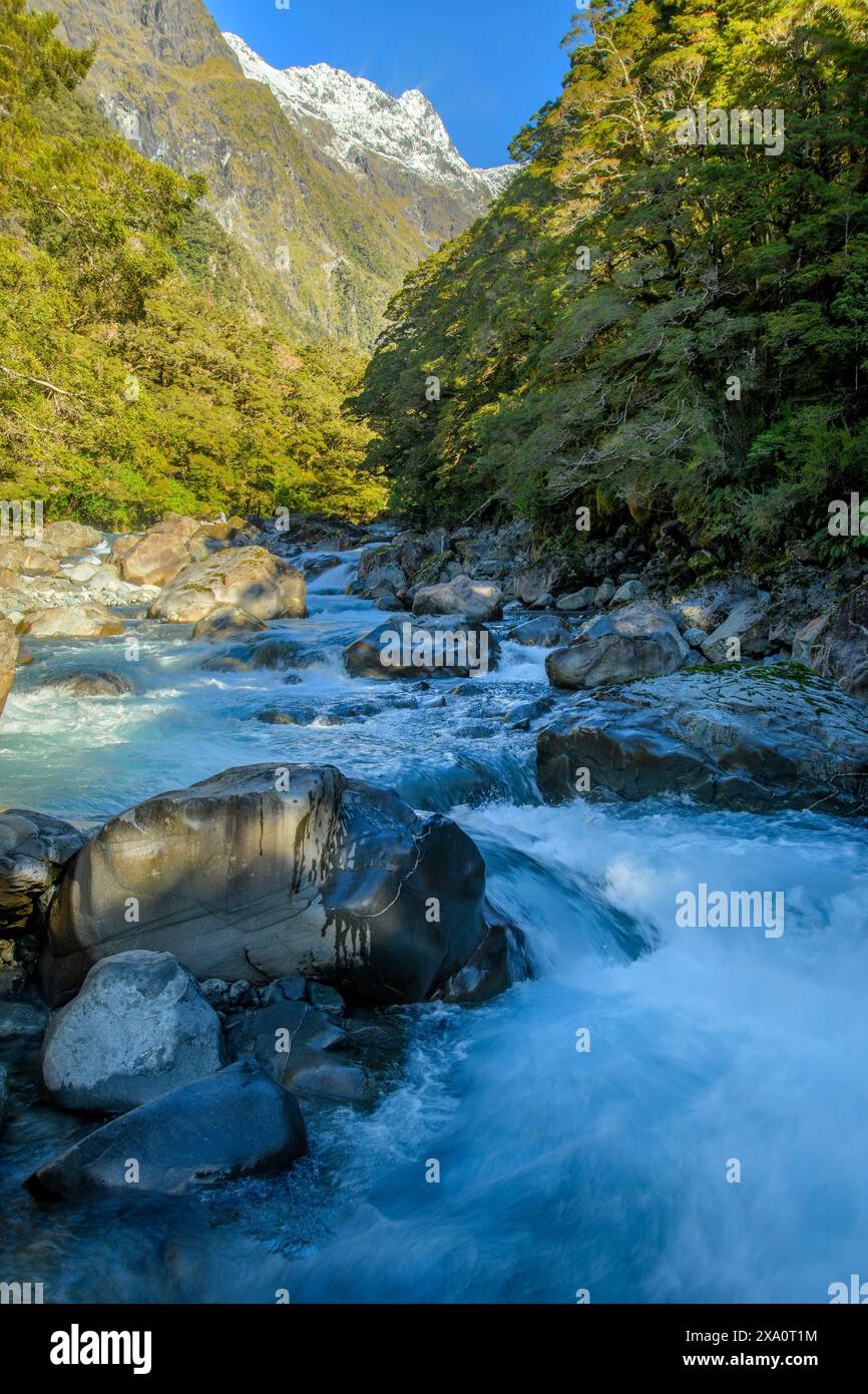 New Zealand; South Island, Fiordland National Park, UNESCO World Heritage, Fiordland river Stock Photo