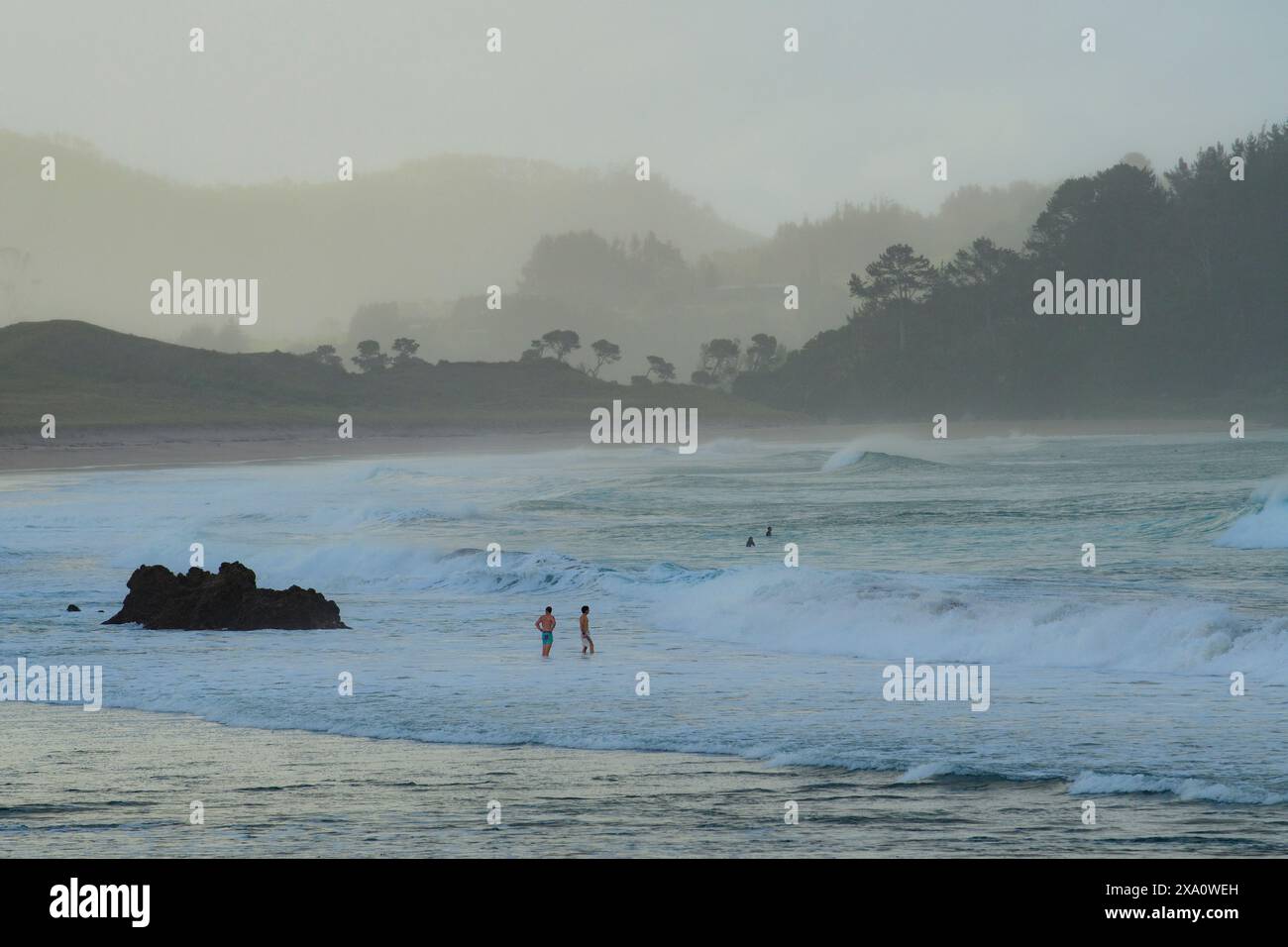 New Zealand, North Island, Coromandel Peninsula,  Whitianga, Hot Water Beach Stock Photo