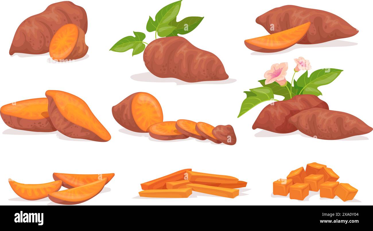 Sweet potato yam. Japanese potatoes tuber with purple peel, batata