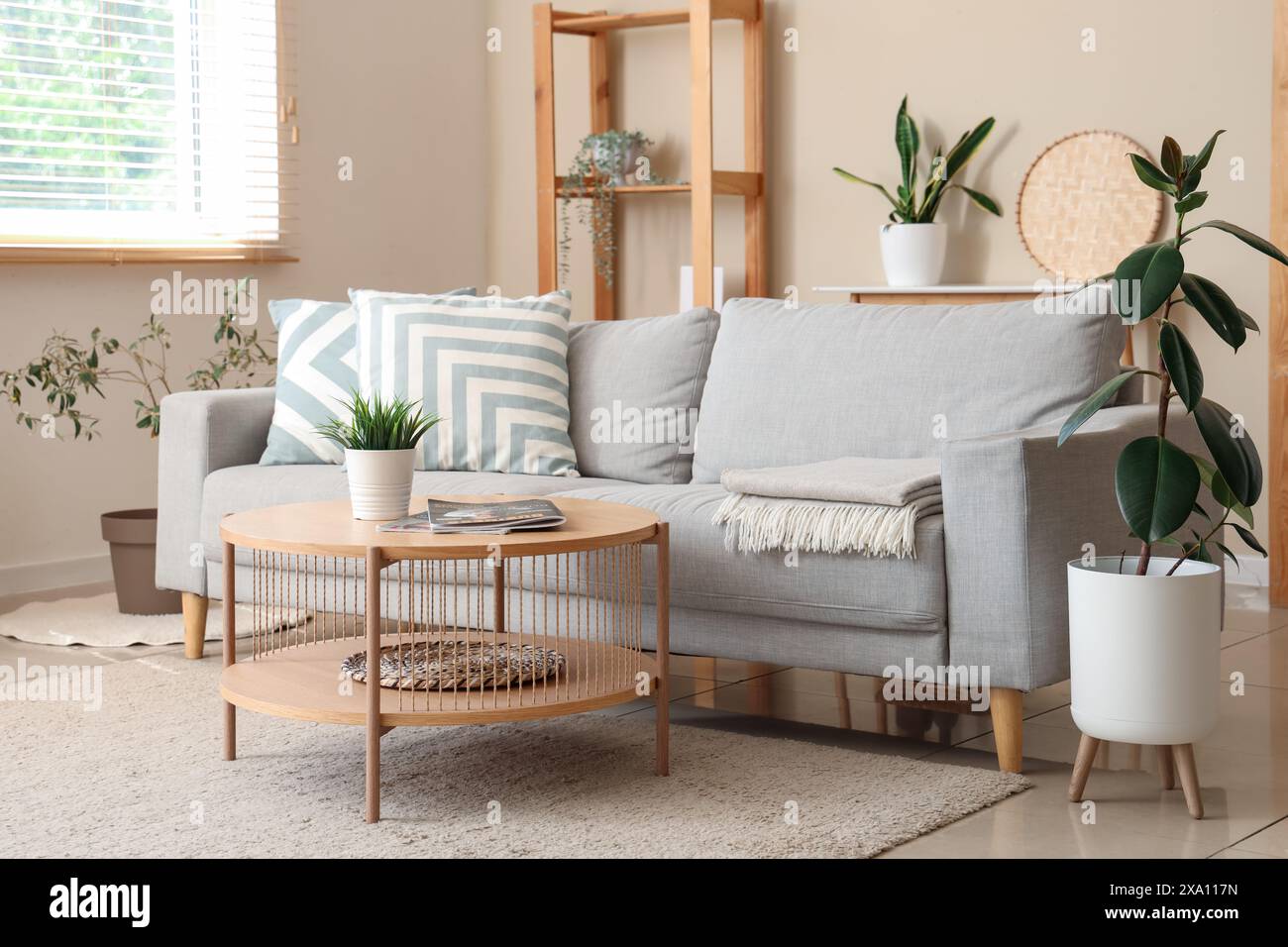 Interior of living room with grey sofa, coffee table and plants Stock ...