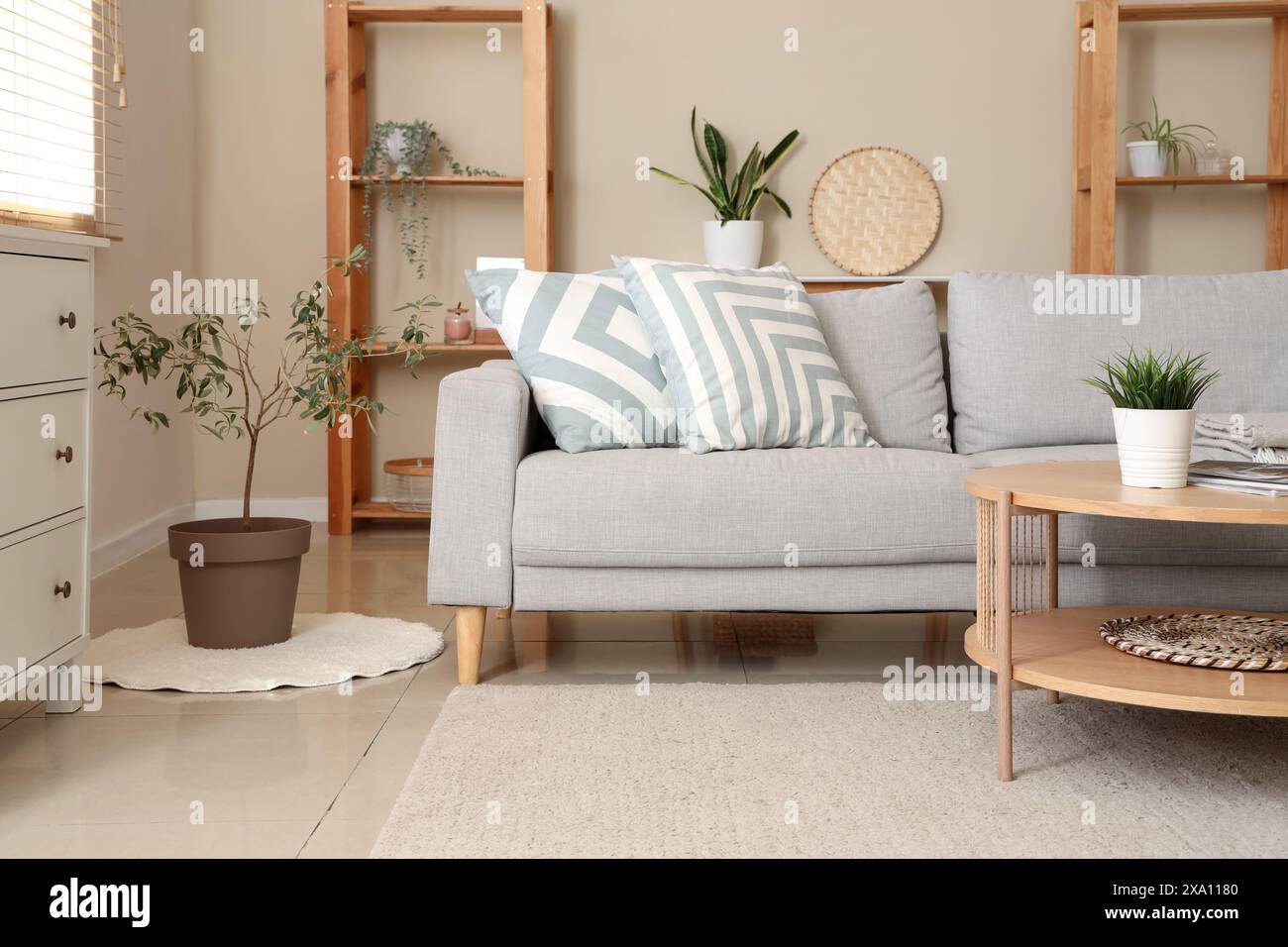 Interior of living room with grey sofa, coffee table and plants Stock ...
