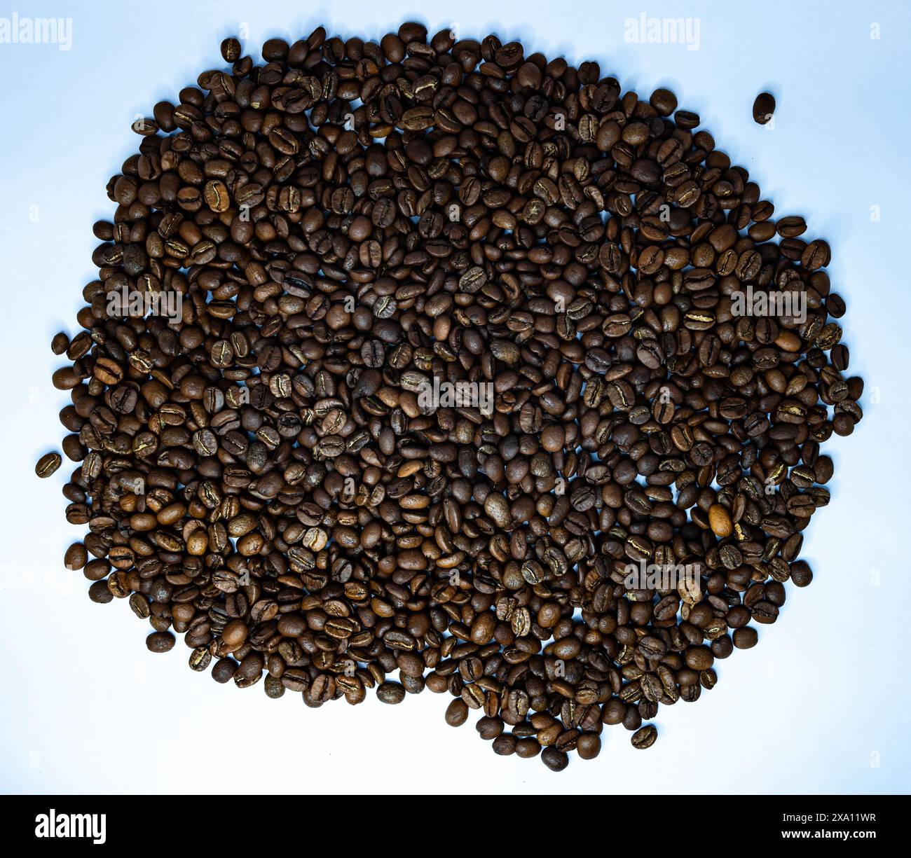 The coffee beans displayed on a plain white background. Stock Photo