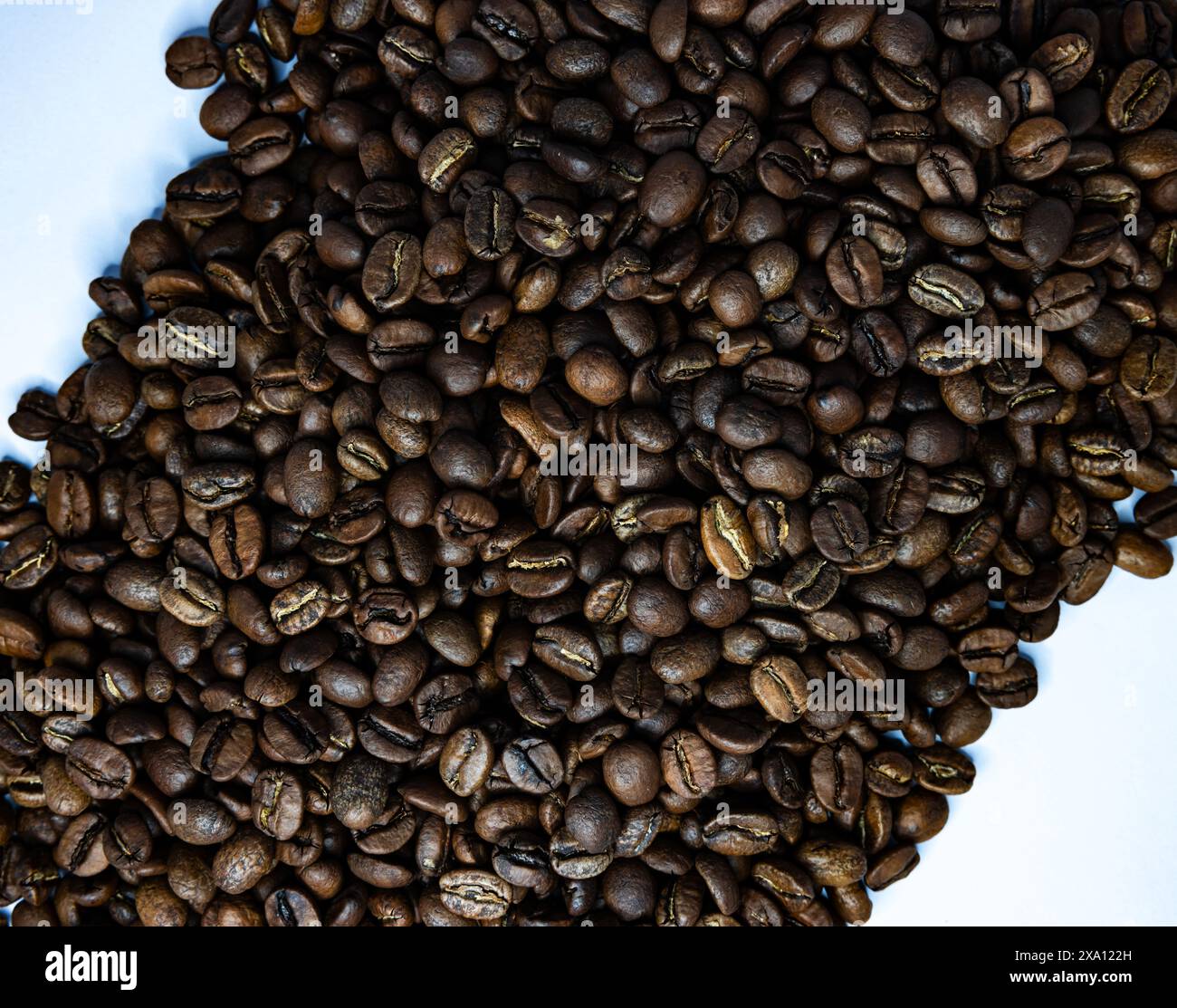 The coffee beans displayed on a plain white background. Stock Photo