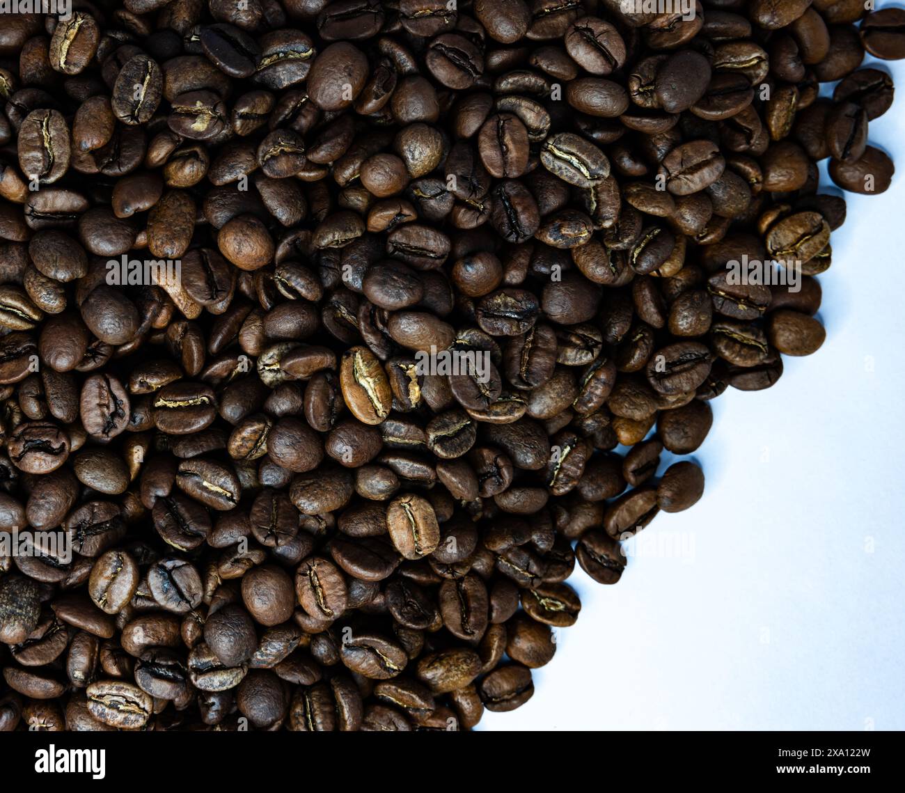 The coffee beans displayed on a plain white background. Stock Photo