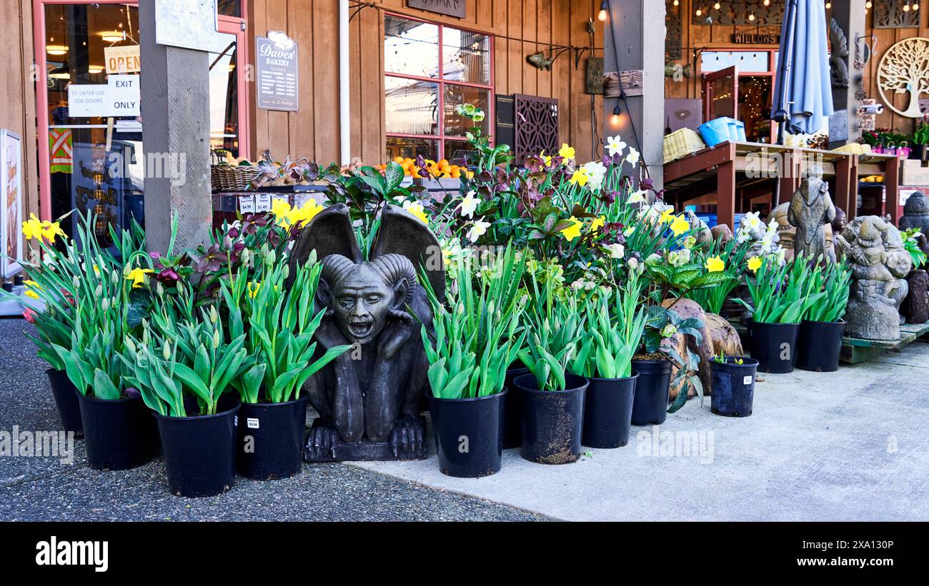 Large black pots containing tulips that are not yet blooming, a black cast statue with ram horns and wings at a garden market. Stock Photo