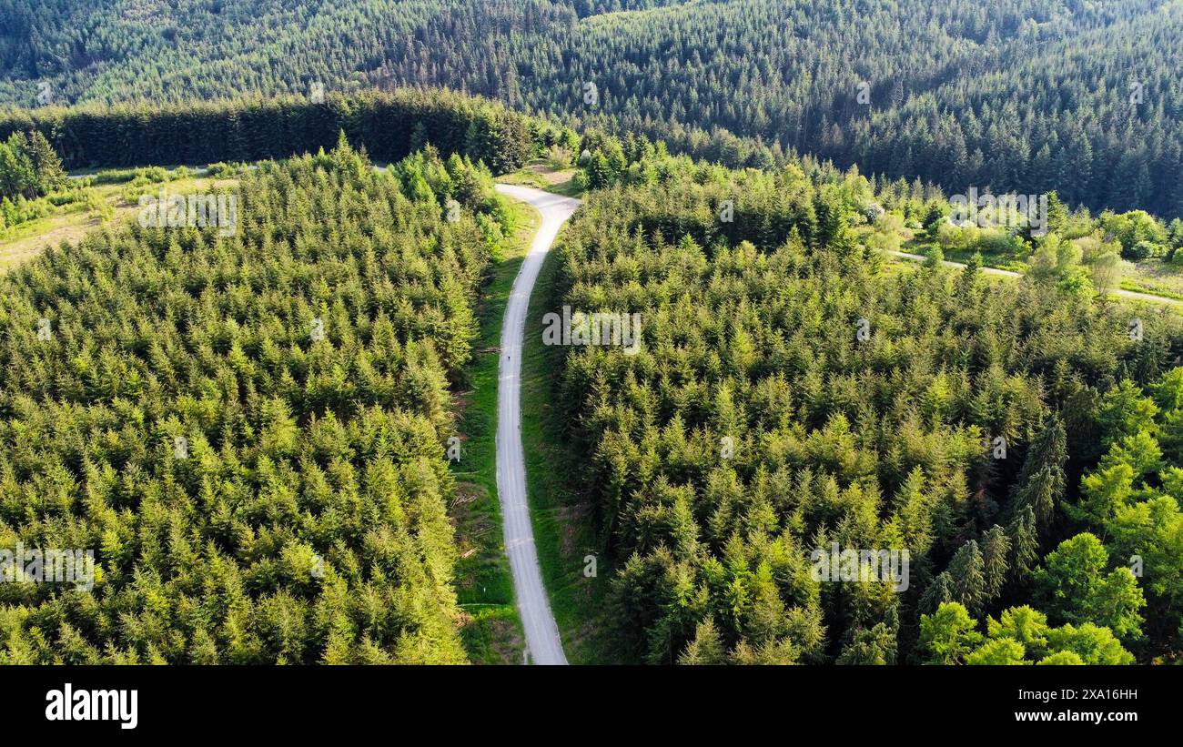 An aerial view of dense forest with clustered trees Stock Photo - Alamy