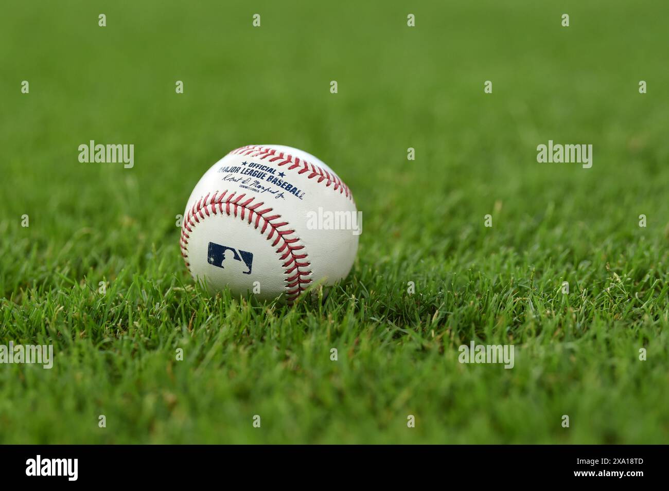 Official Major League baseball during the MLB baseball game between the