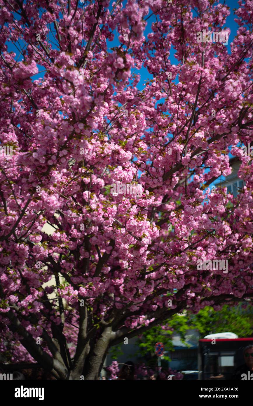 Urban harmony hi-res stock photography and images - Alamy