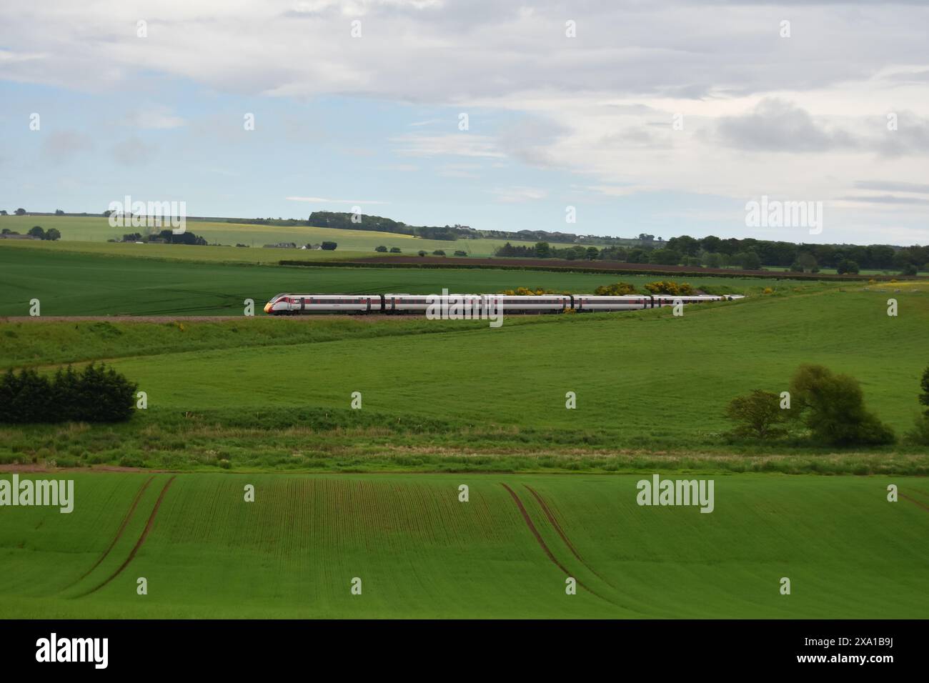 A LNER Azuma train travels through the Angus countryside near Inverkeilor on the east coast of Scotland, May 2024. Stock Photo