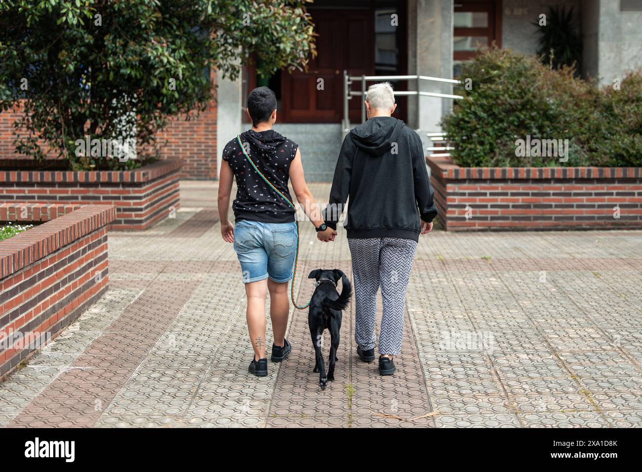 A view from behind shows a short-haired gay woman couple walking hand in hand in the park accompanied by their dog. LGBTQ+ companionship and outdoor b Stock Photo