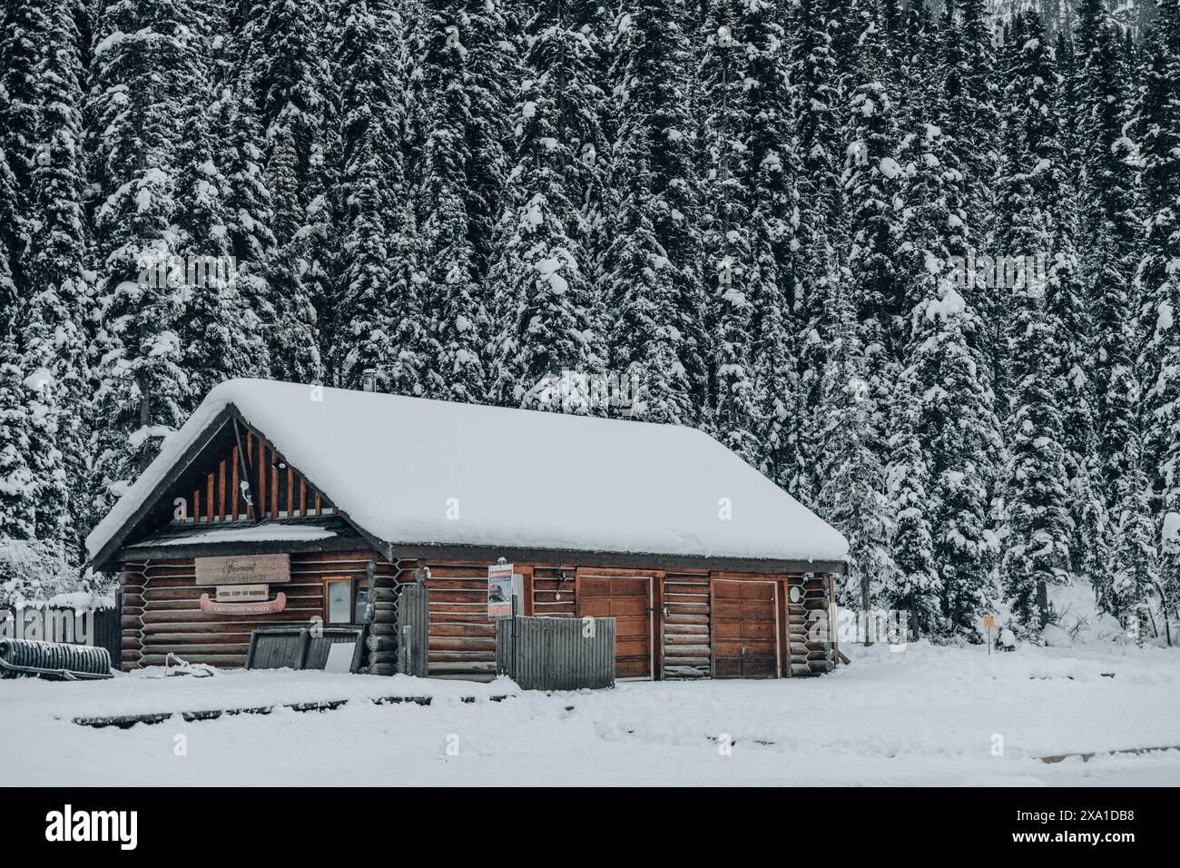 A rustic log cabin surrounded by trees in a field. Stock Photo