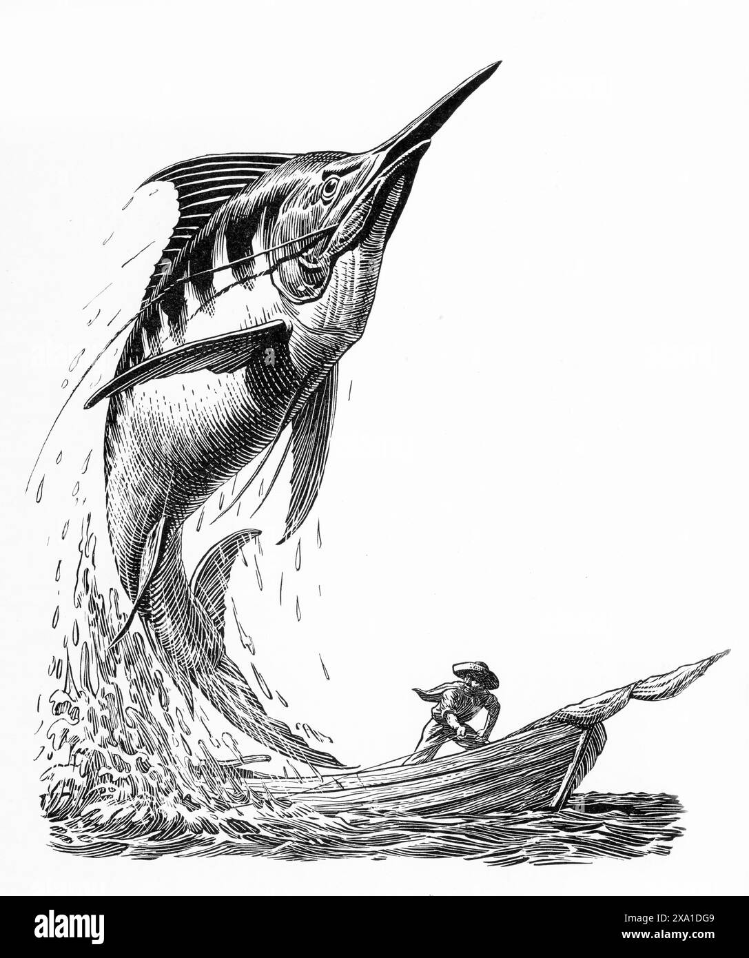 Illustralion from the book The Old Man and the Sea by Ernest Hemingway
