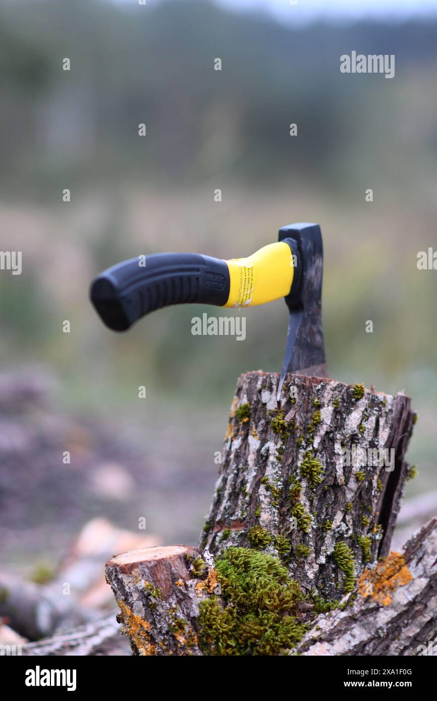 An axe cutting down a tree Stock Photo - Alamy