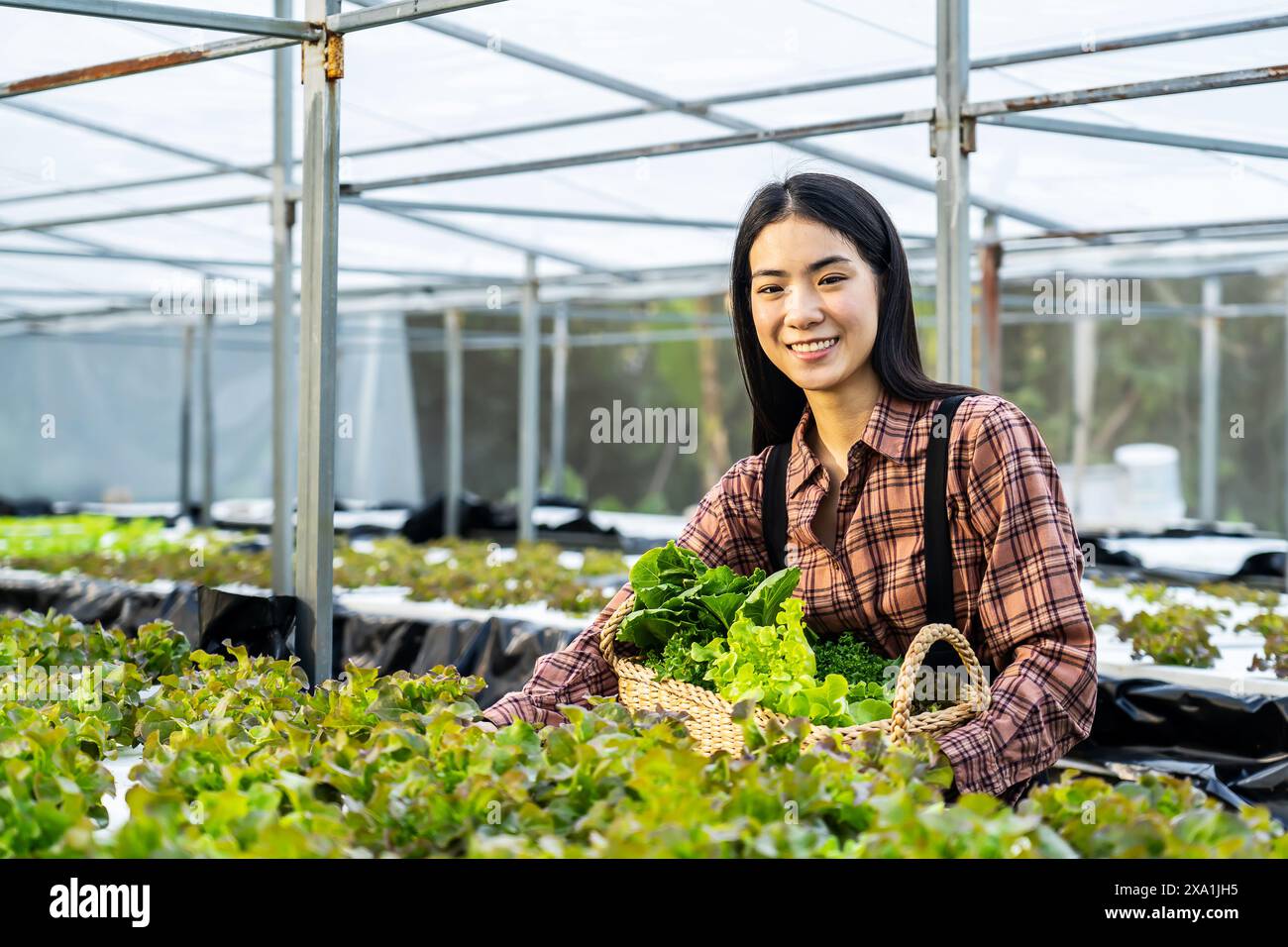 Asian woman working in greenhouse Stock Photo - Alamy