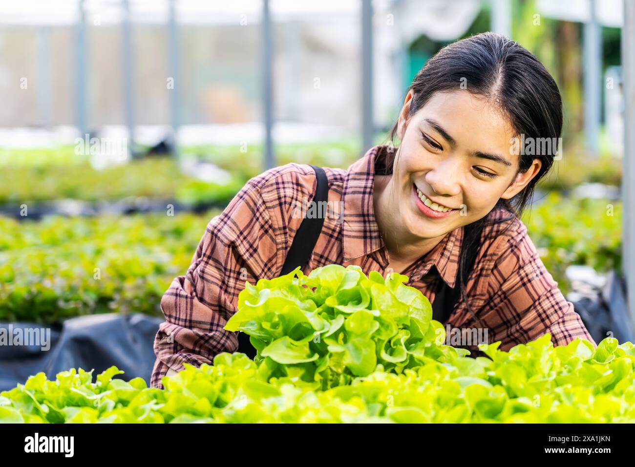 Asian woman working in greenhouse Stock Photo - Alamy