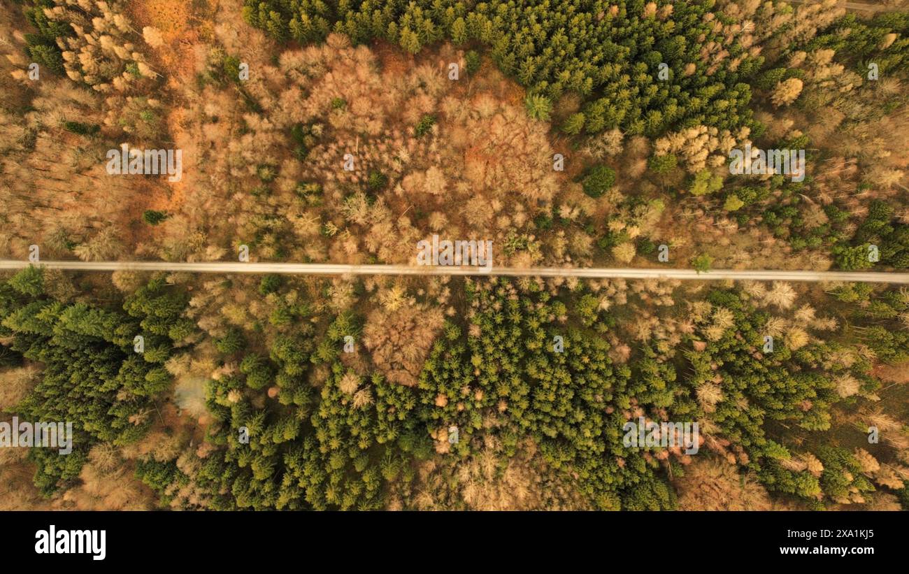 Journey through dense greenery hi-res stock photography and images - Alamy