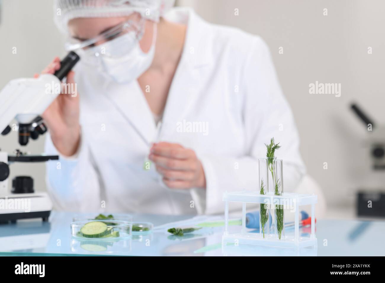 Quality control. Food inspector checking safety of products in ...