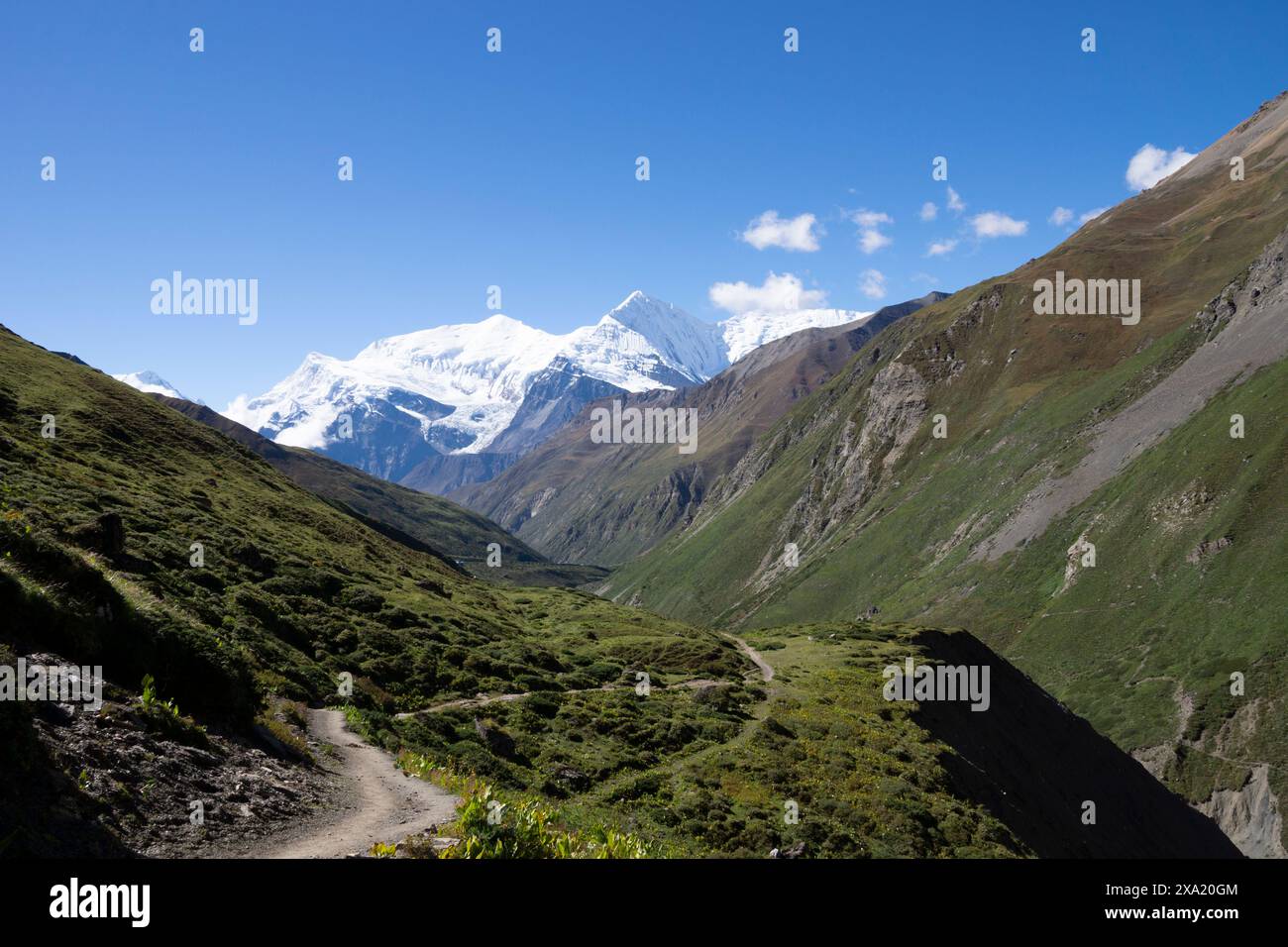 Scenic dirt road amidst lush green mountains, with snow-capped peaks in ...