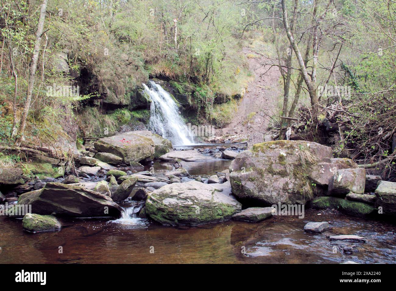 A lush forest with a waterfall cascading through it Stock Photo - Alamy