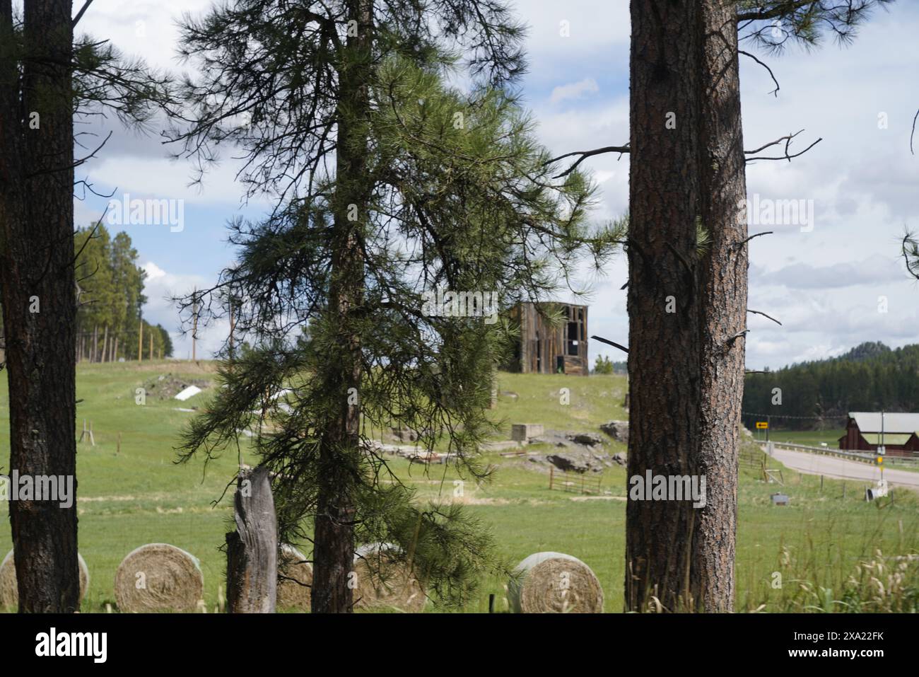 Field with trees, rocks, and a farm in the distance Stock Photo - Alamy