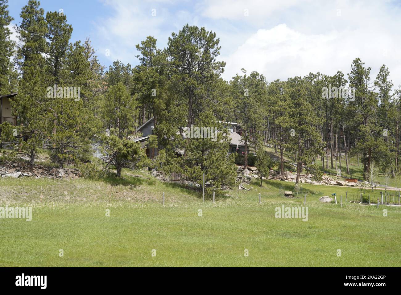 Hillside under hi-res stock photography and images - Alamy